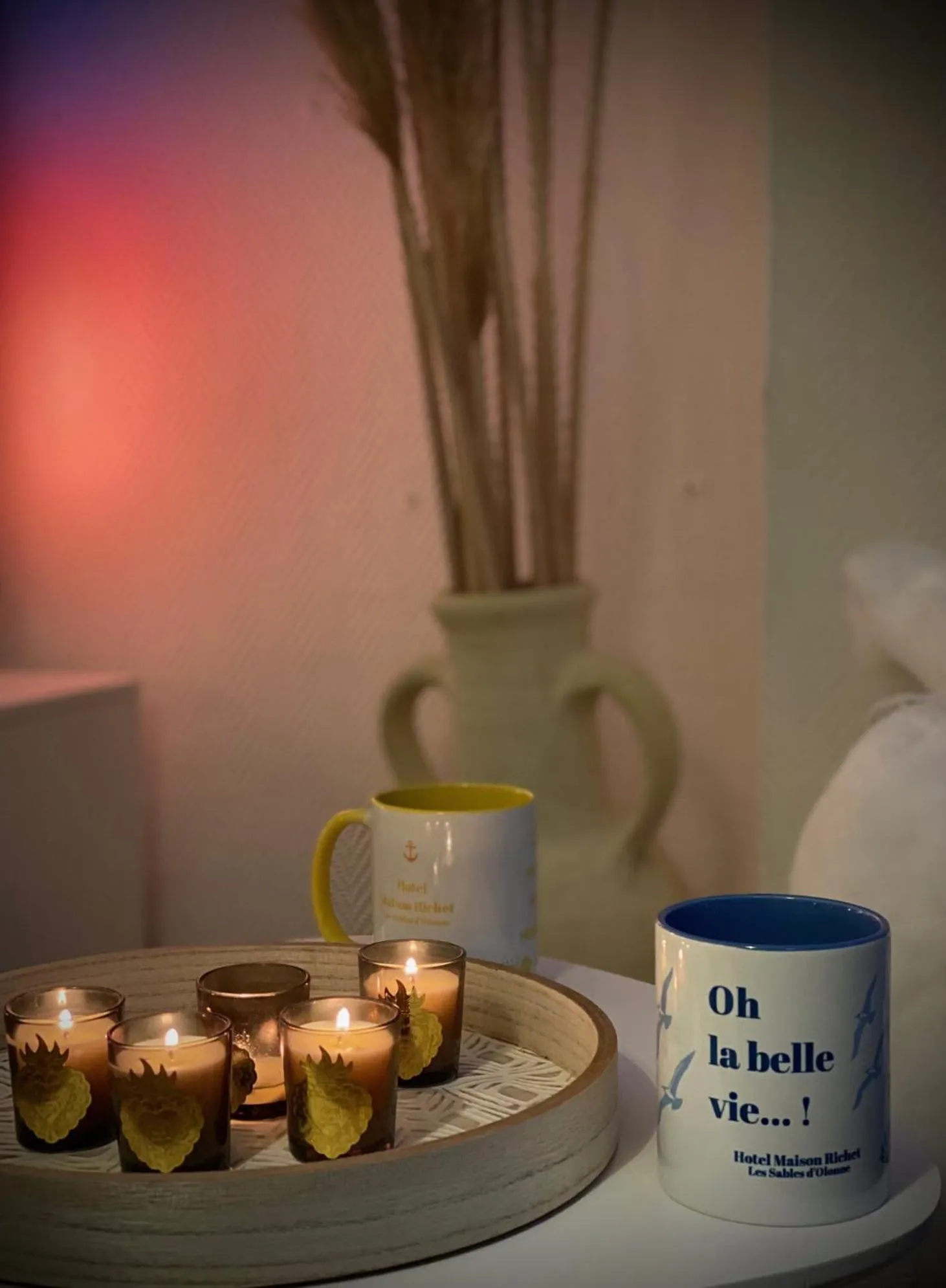 Communal lounge/ TV room in Maison Richet