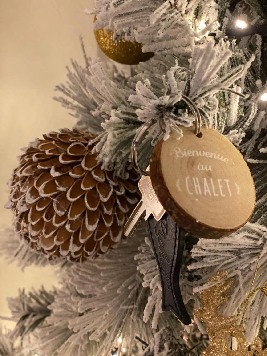 Decorative detail in Maison Richet