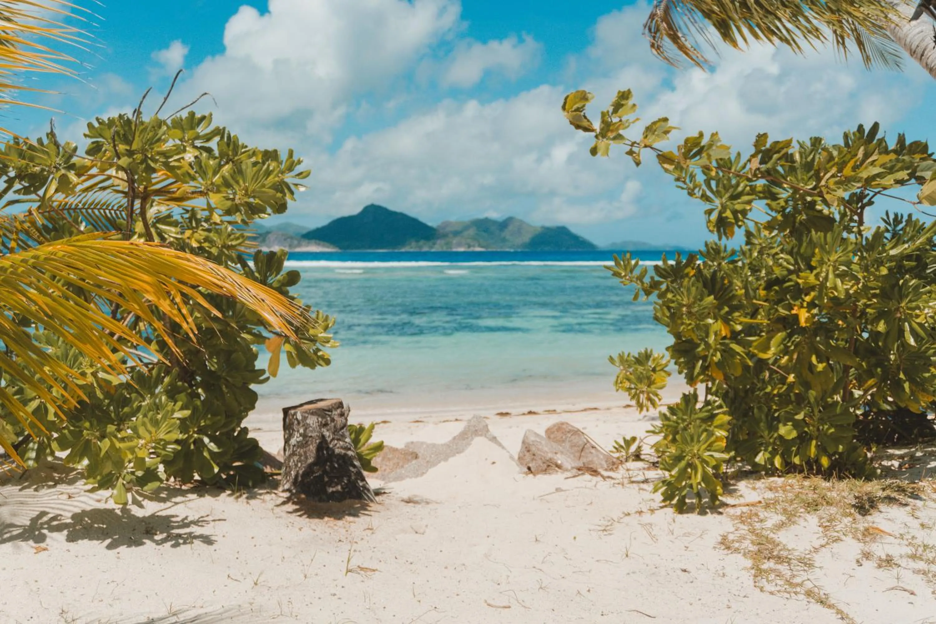 Natural landscape in La Digue Island Lodge