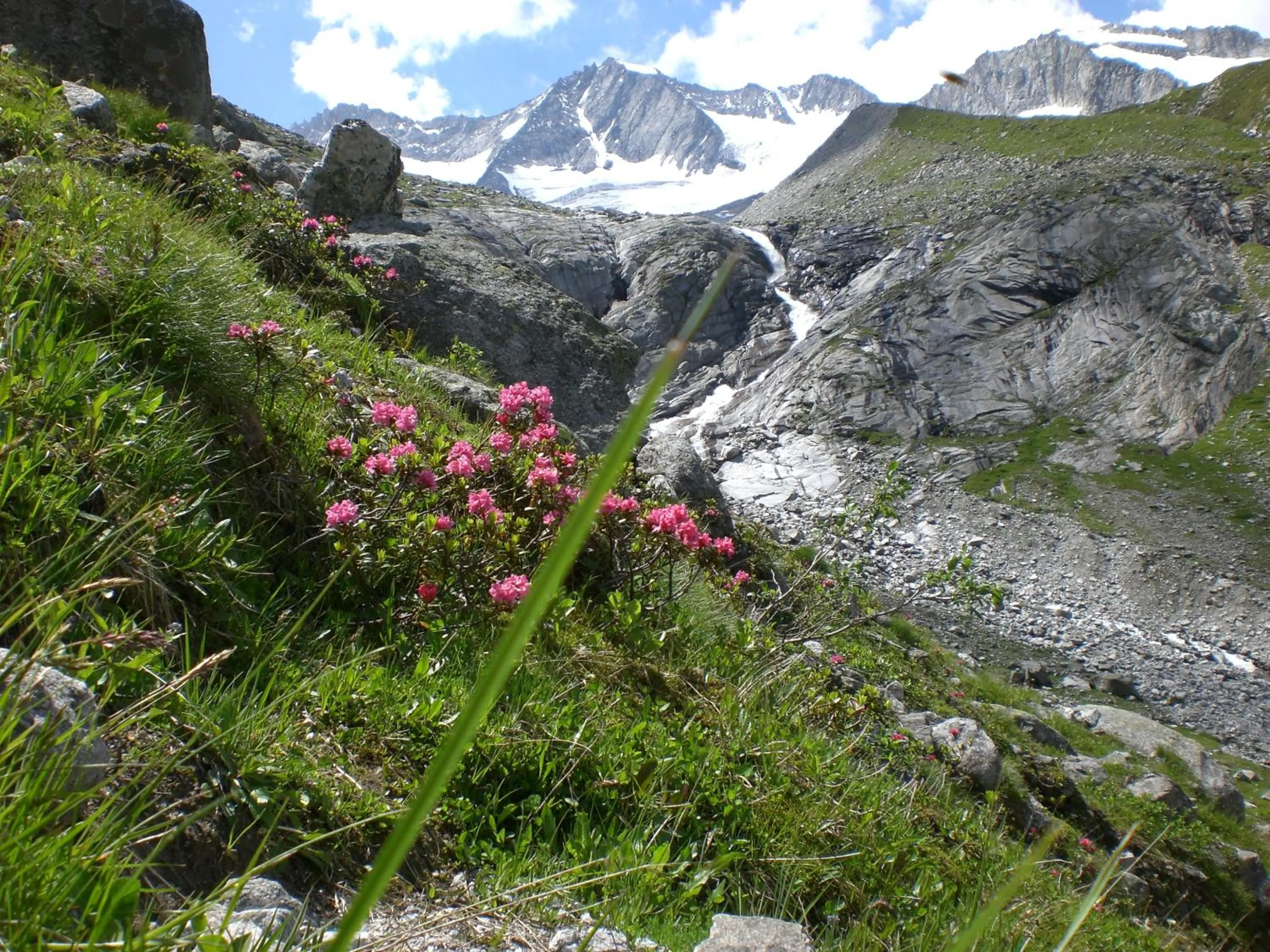 Hiking in Hotel Garni Erler