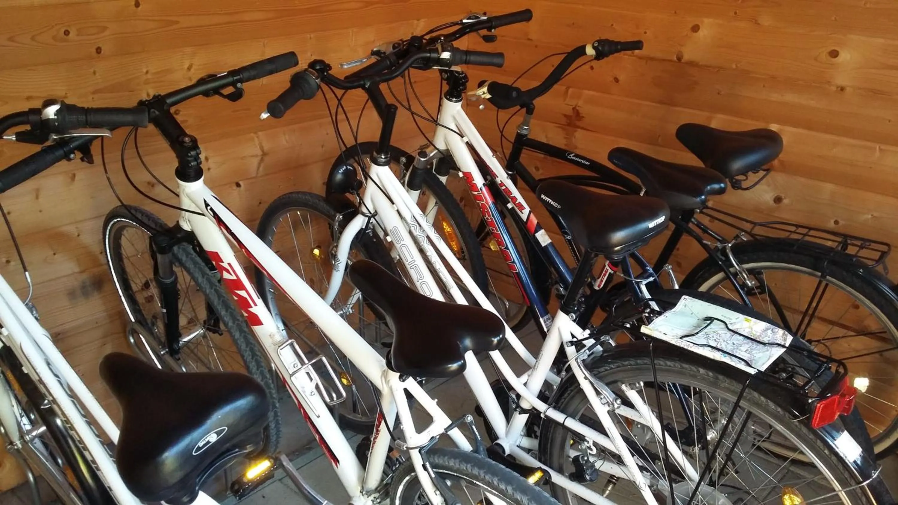 Activities in Hotel Garni Erler