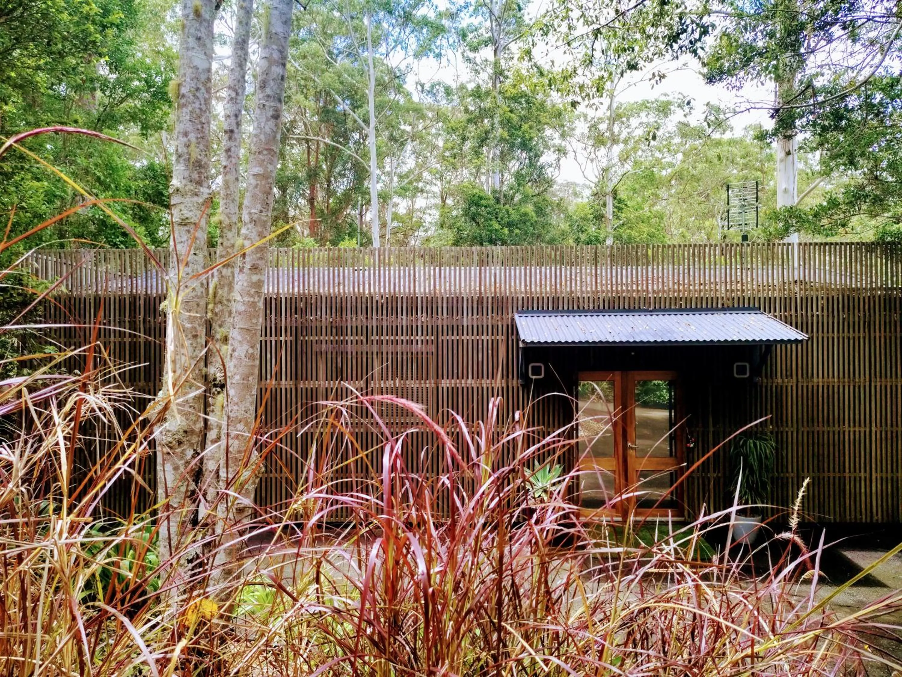 Natural landscape in Stay @ The Cube