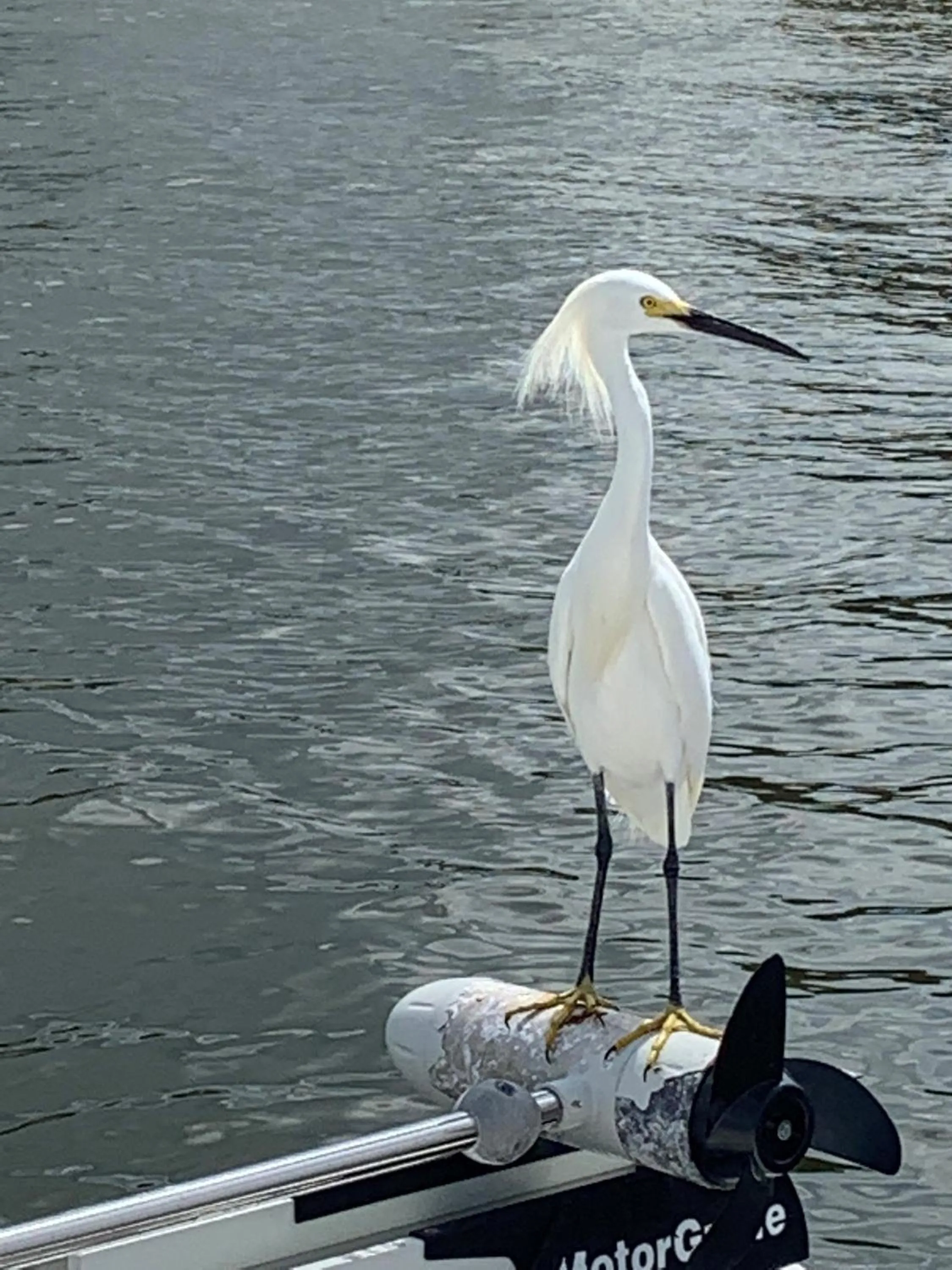 Pirates Pointe Resort