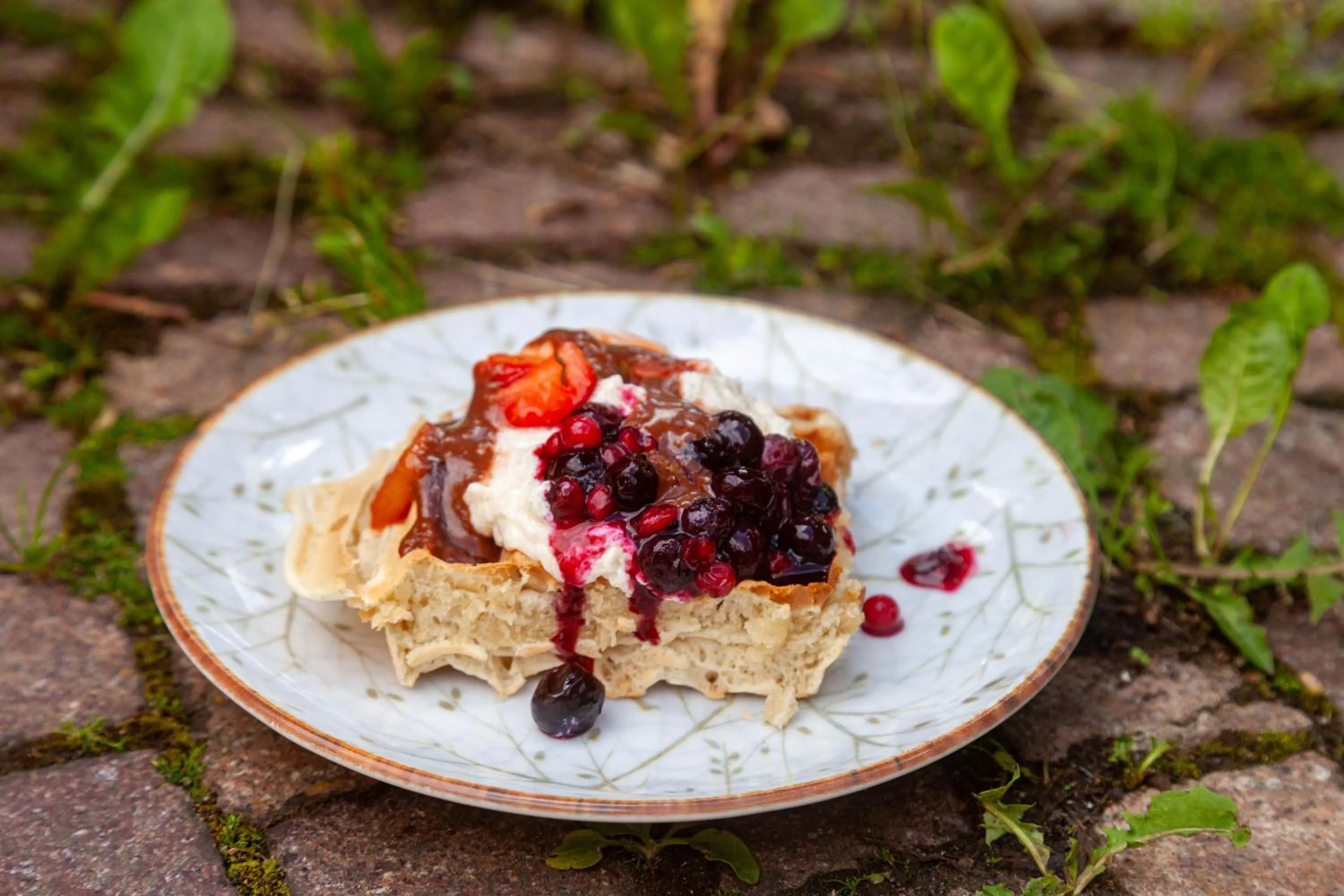Dinner in Bio & BikeHotel Steineggerhof