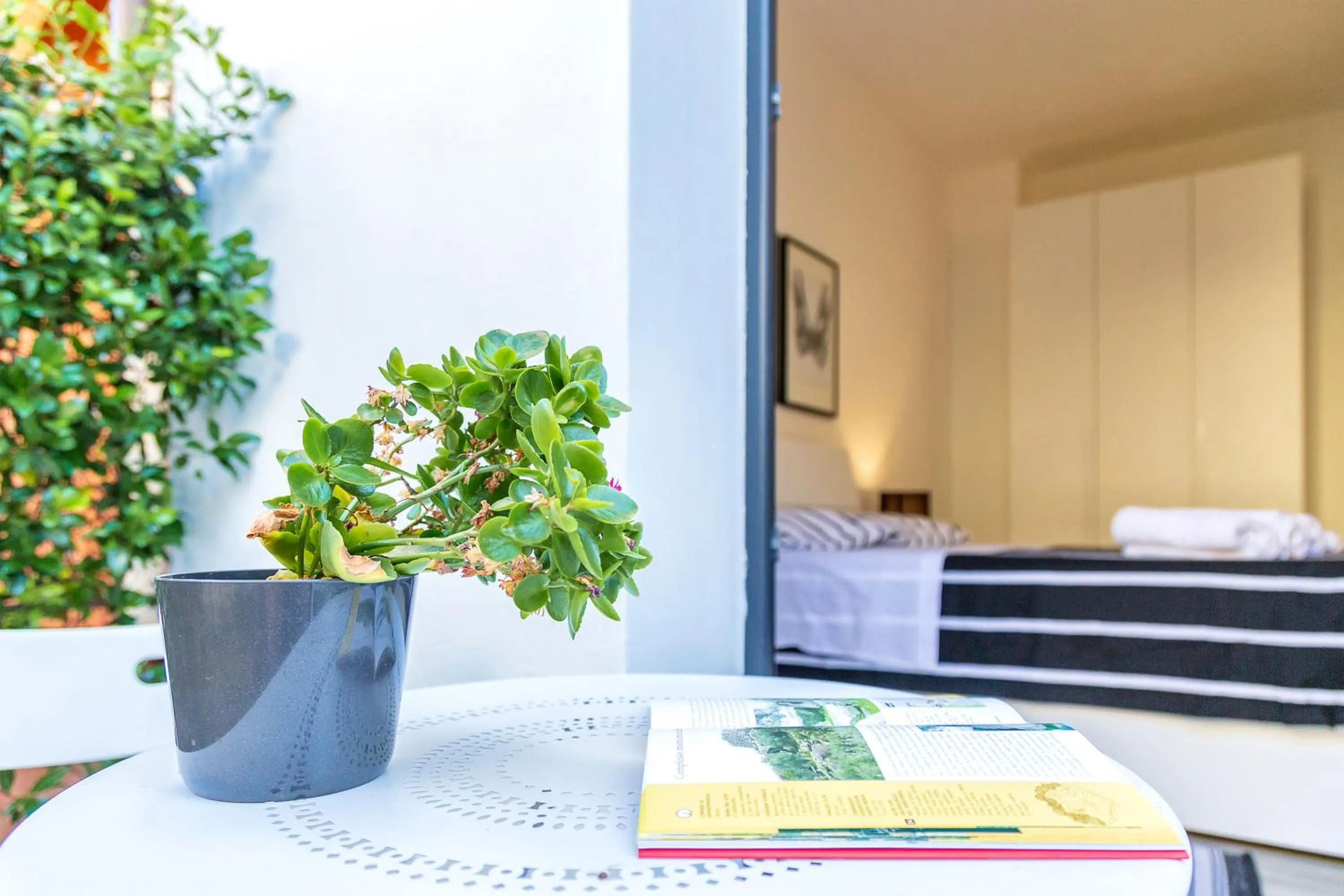 Bed in Alexander B&B