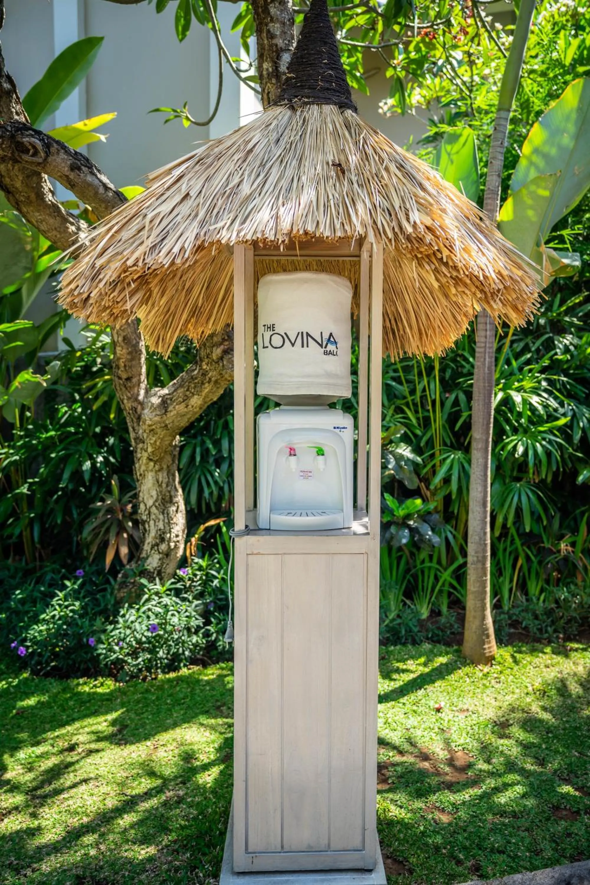 Area and facilities in The Lovina