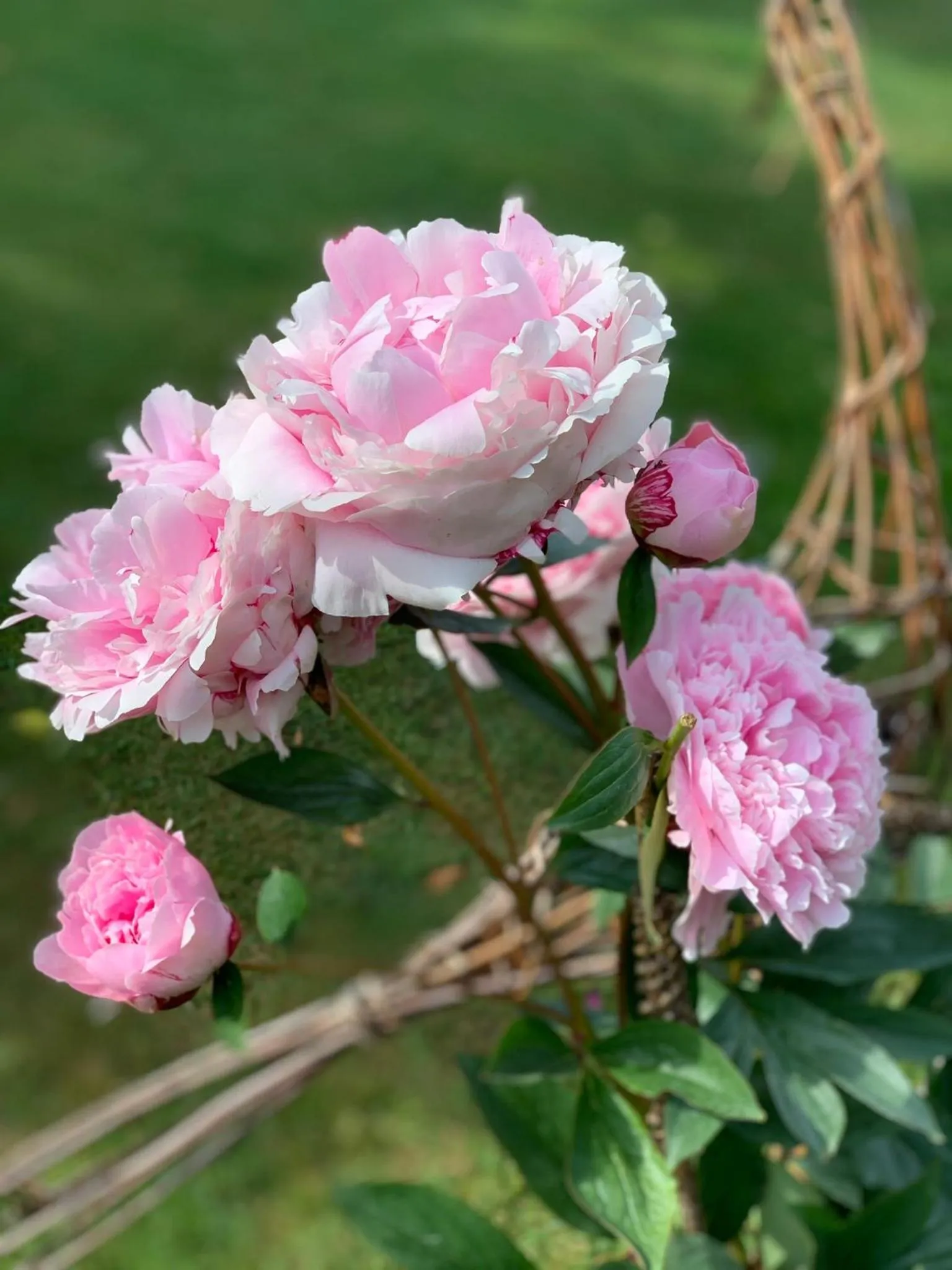 Corner House Luxury BnB