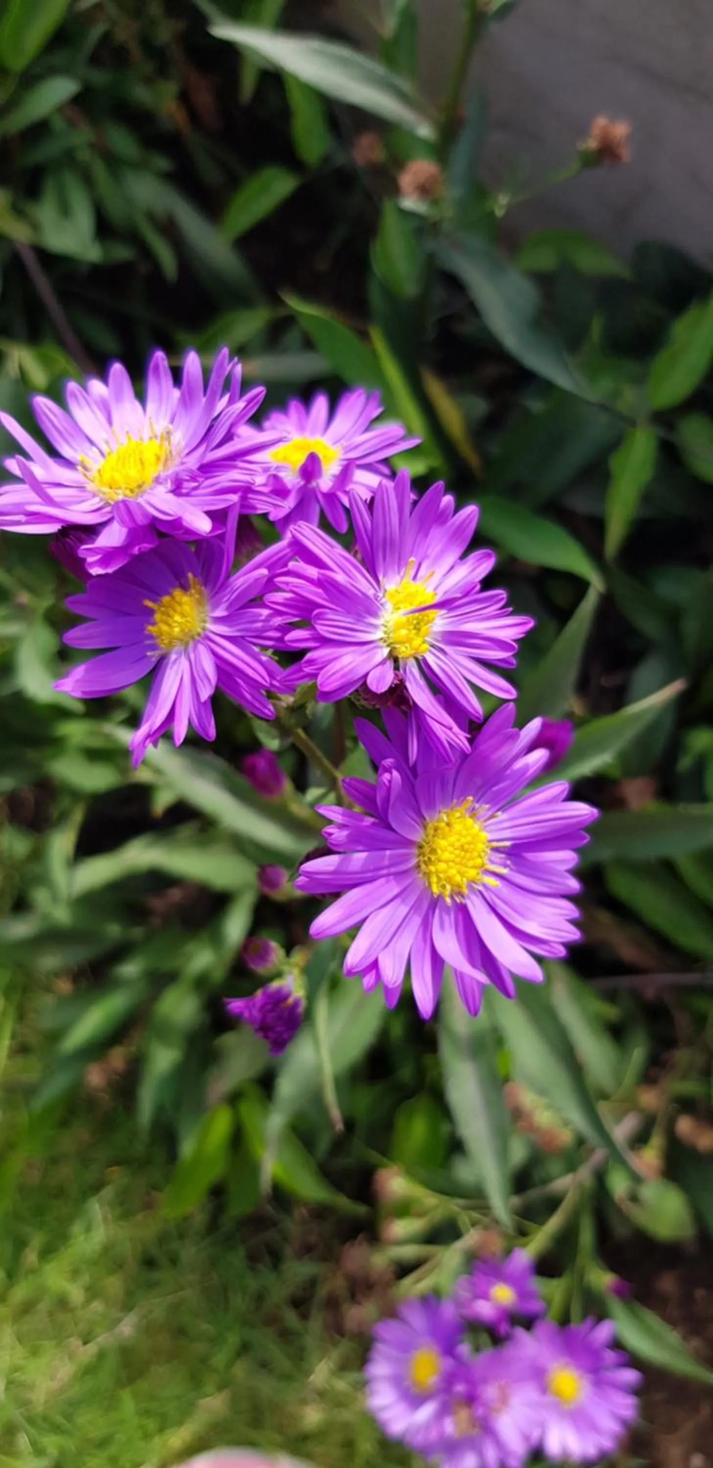 Fun Retreat Resort, Hotel and Ayurveda Spa