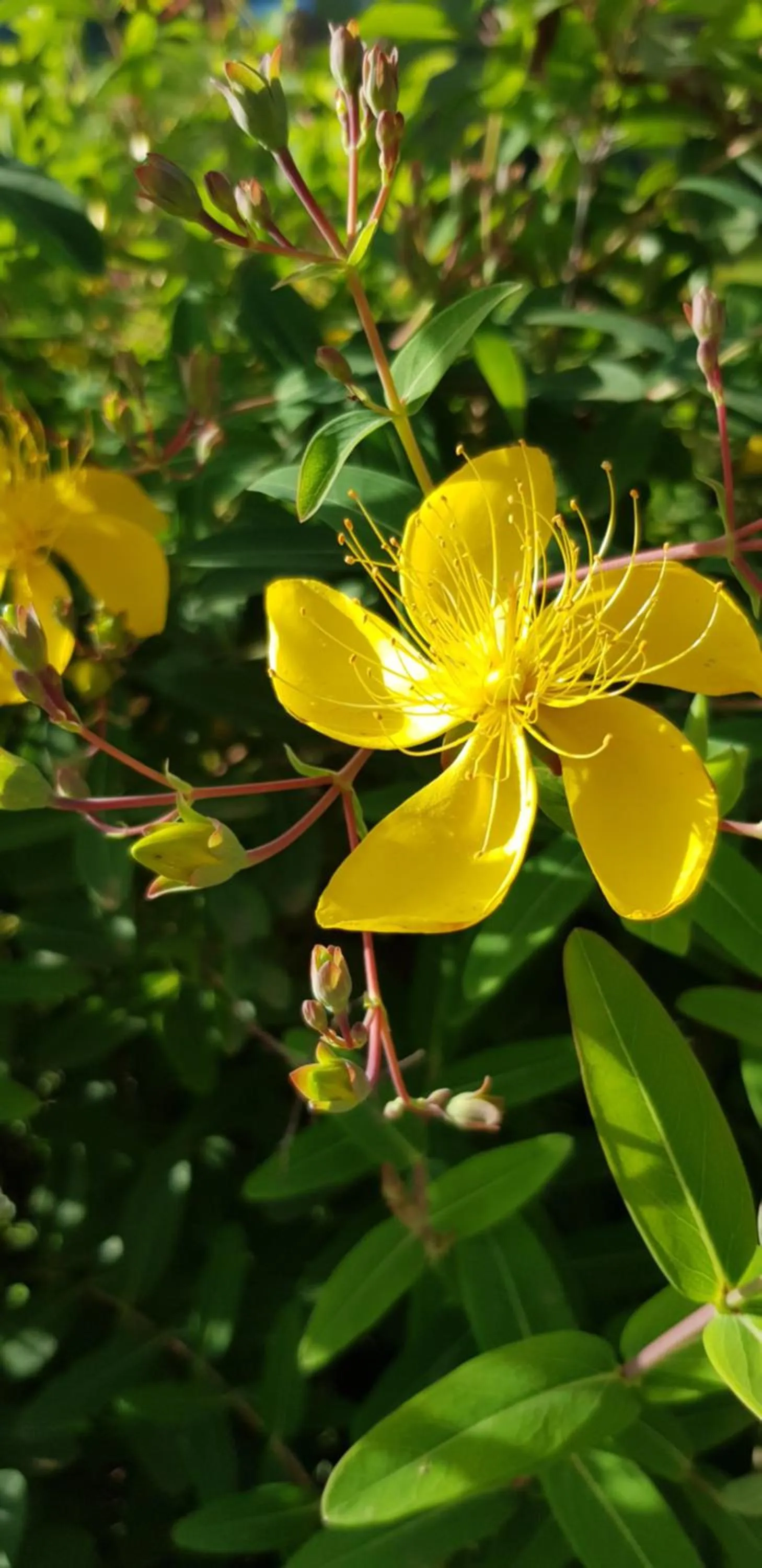 Fun Retreat Resort, Hotel and Ayurveda Spa