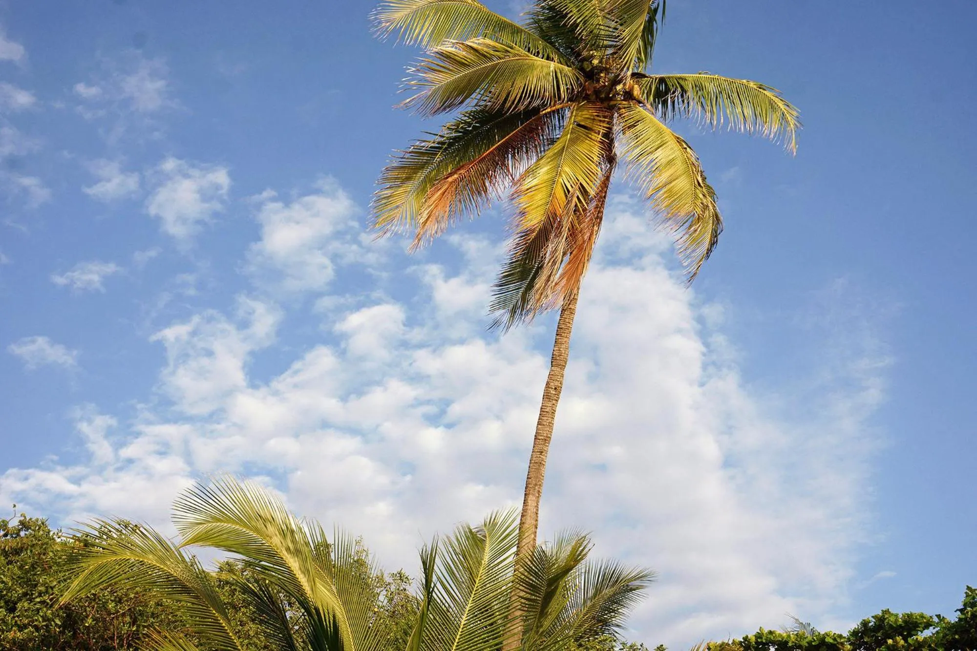Other in Casas Santa Teresa
