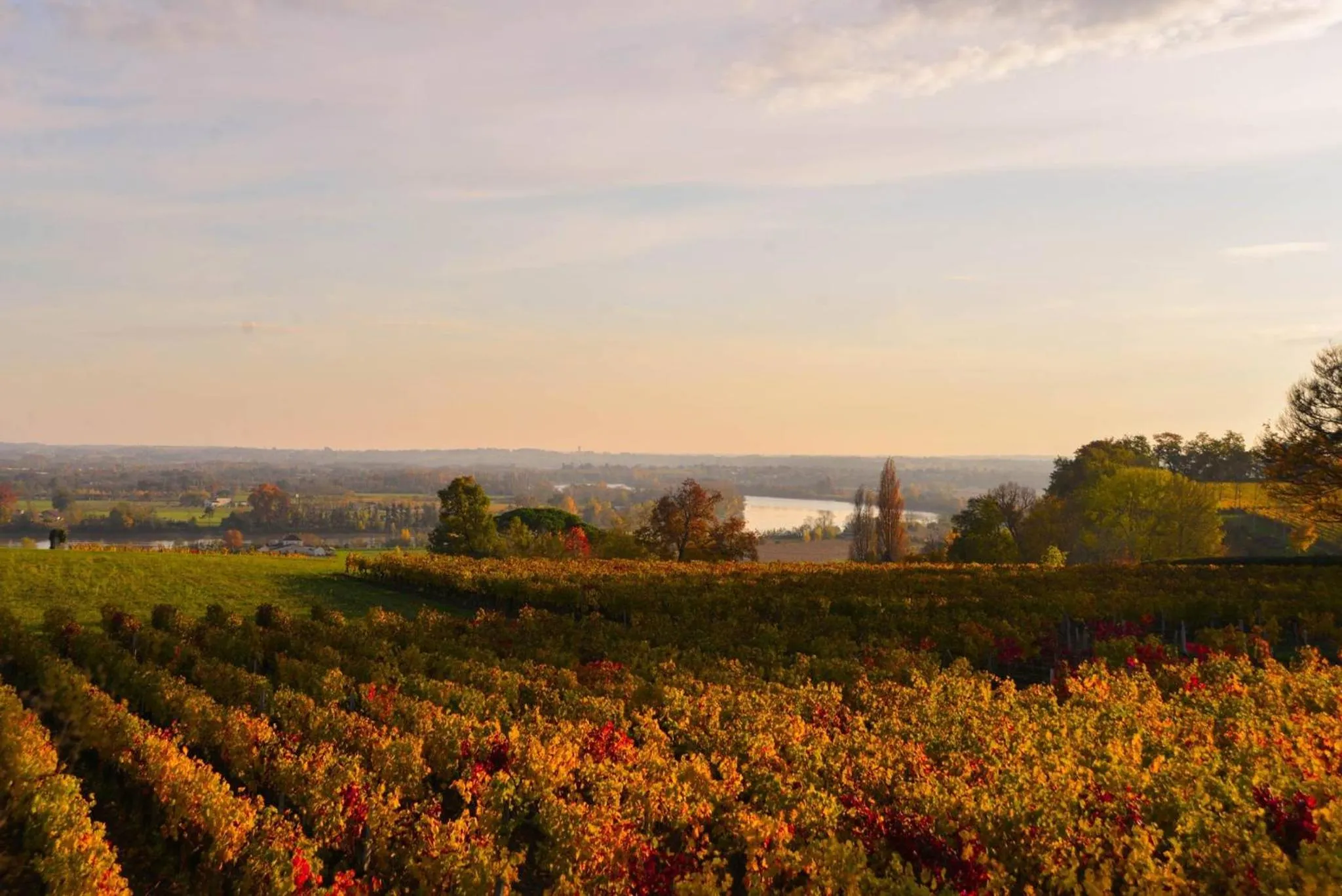 Neighbourhood in La Closerie de Fronsac
