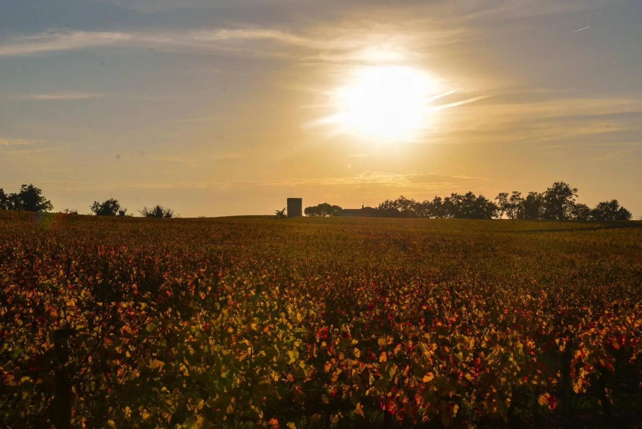 Neighbourhood in La Closerie de Fronsac