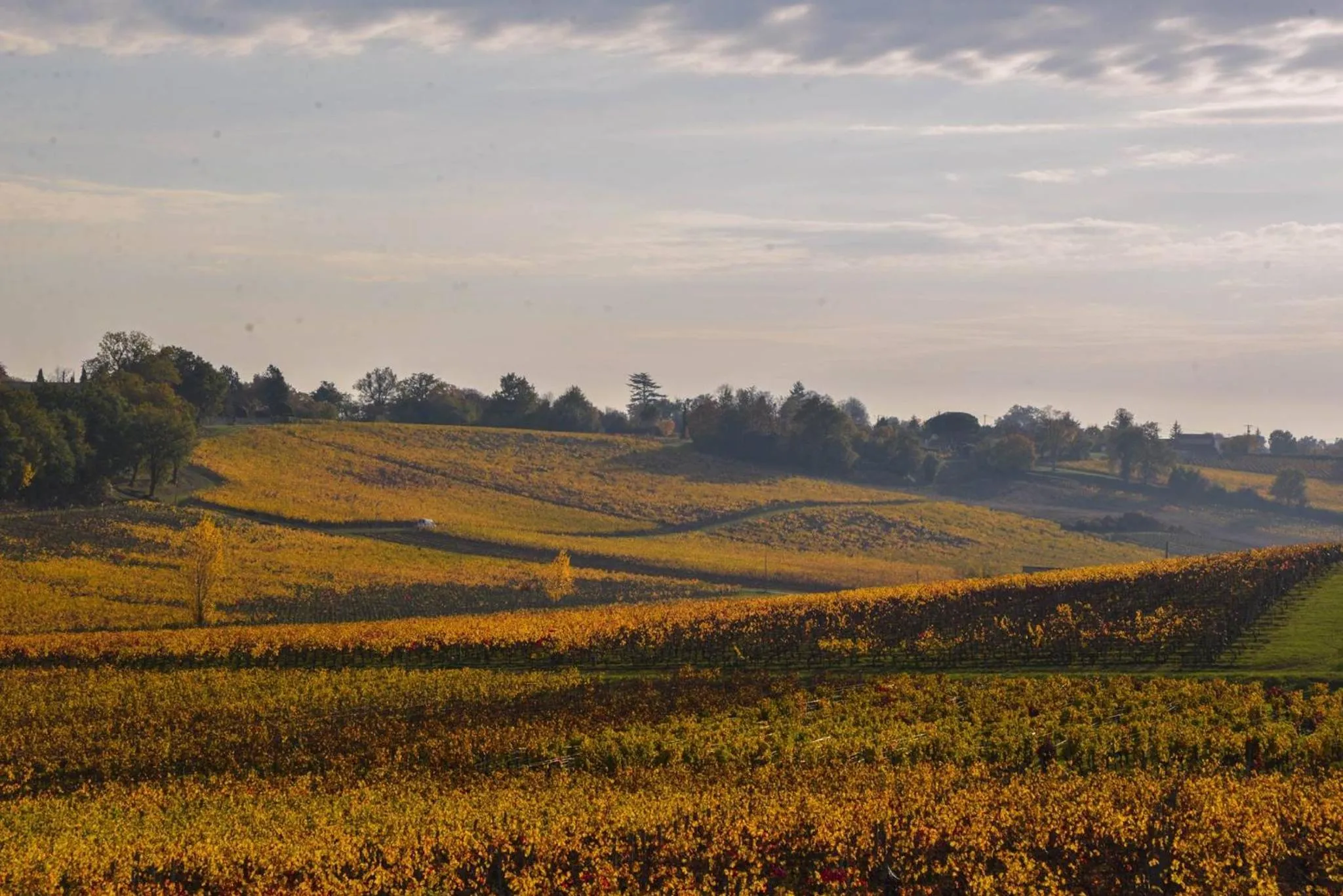 Neighbourhood in La Closerie de Fronsac