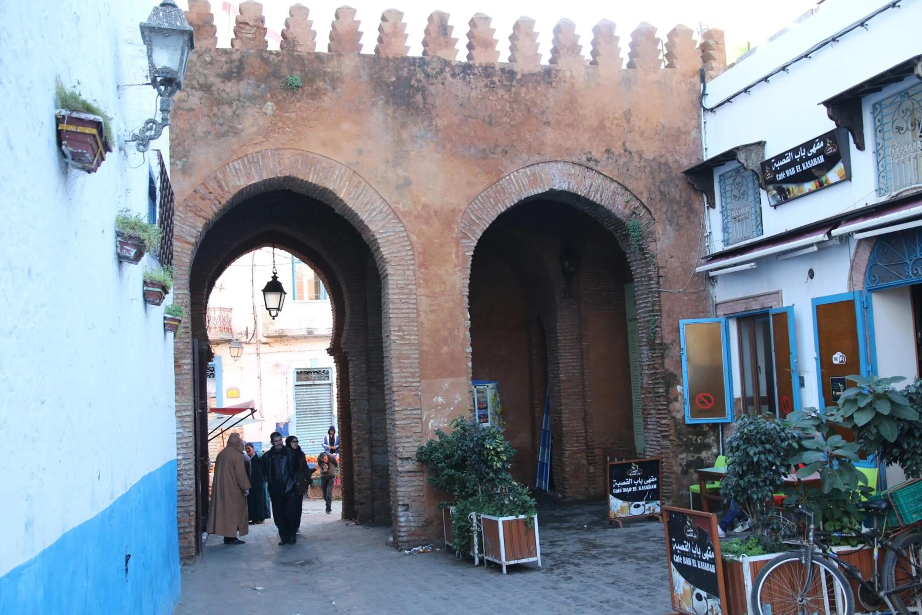 Sultana larache