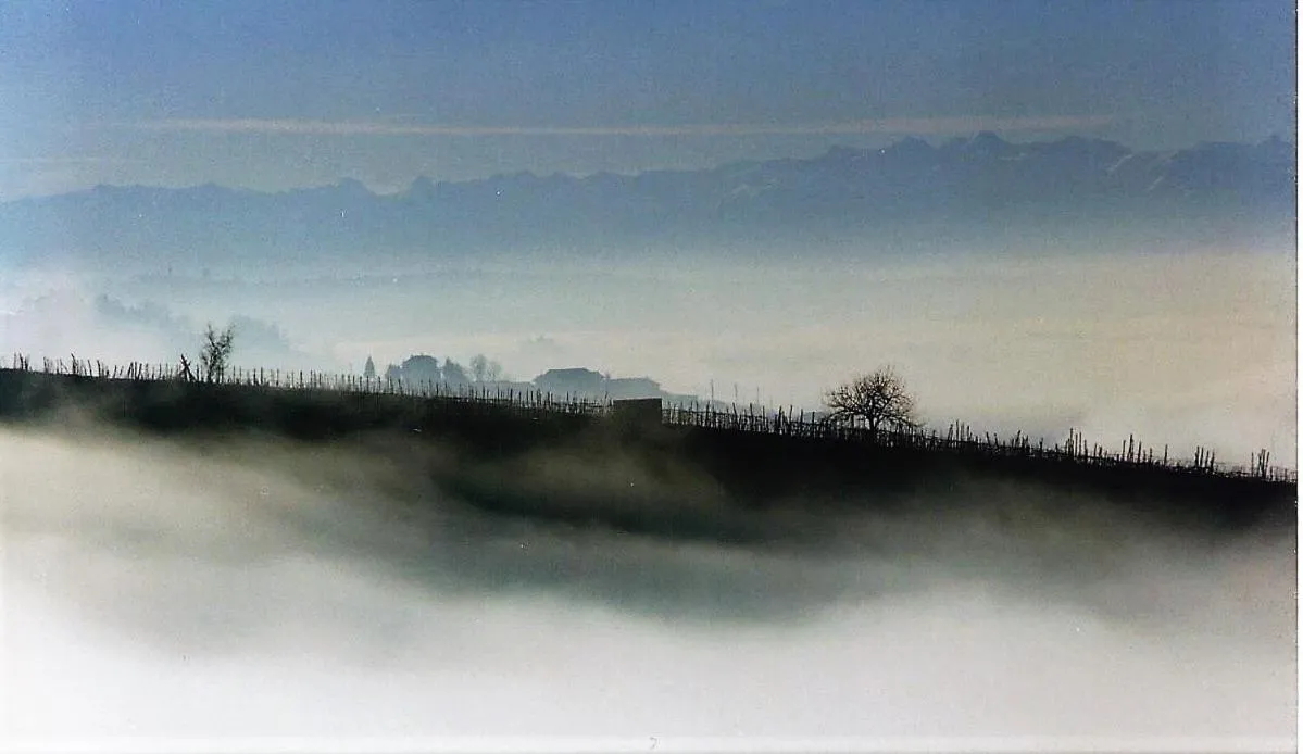 Natural landscape in Cà 'd Langa B&B