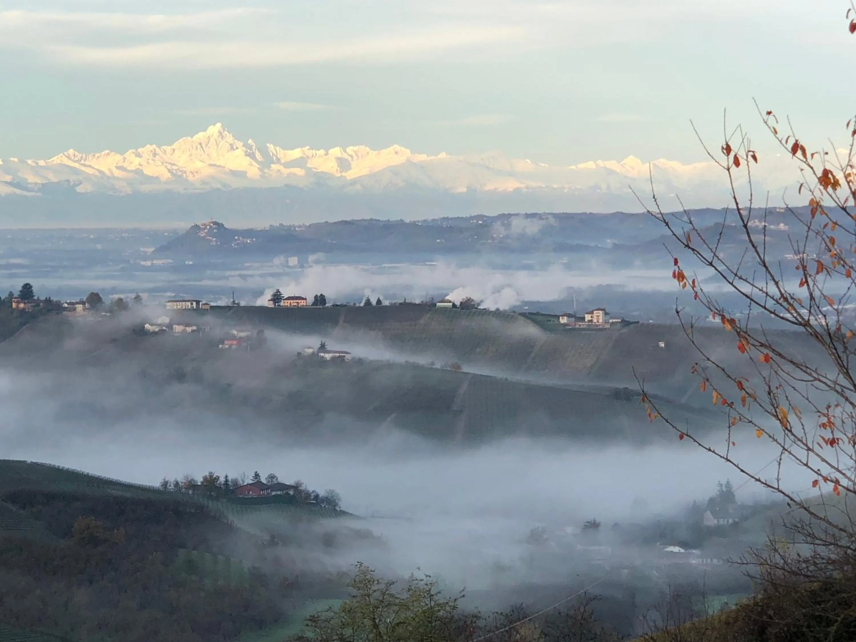 Natural landscape in Cà 'd Langa B&B