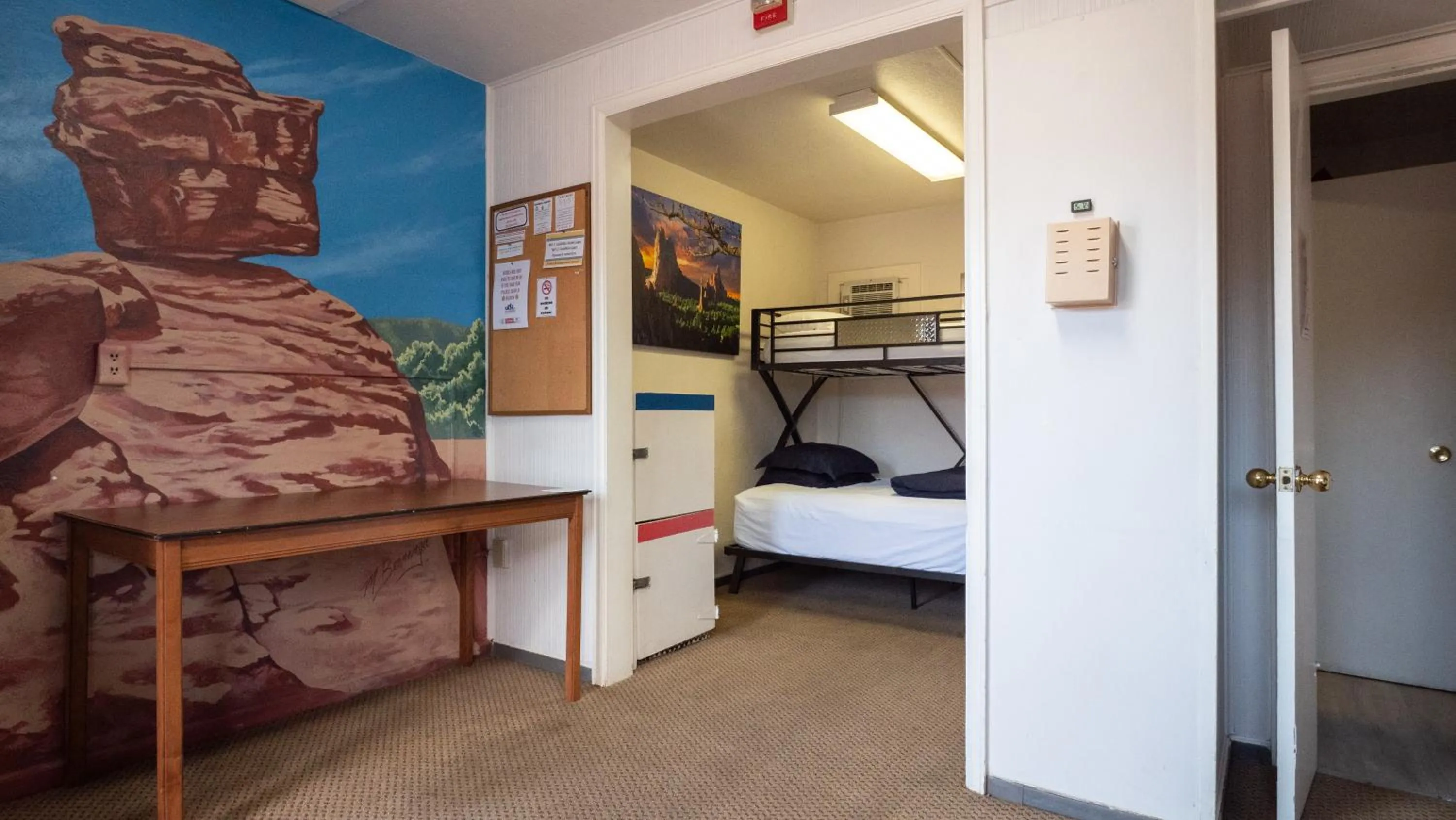 bunk bed, Bed in RAD Hostel