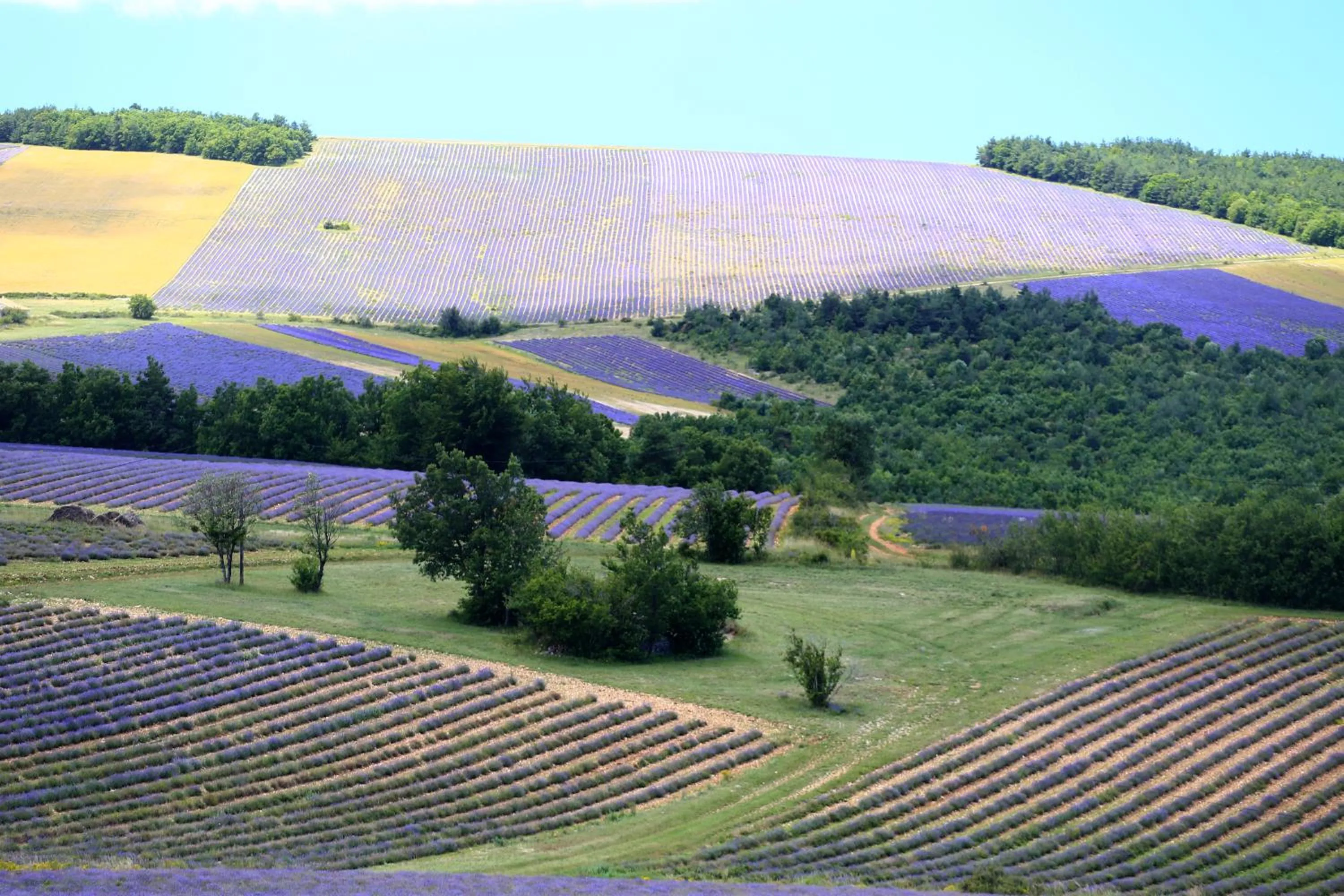 View (from property/room) in L'Aptois Hôtel