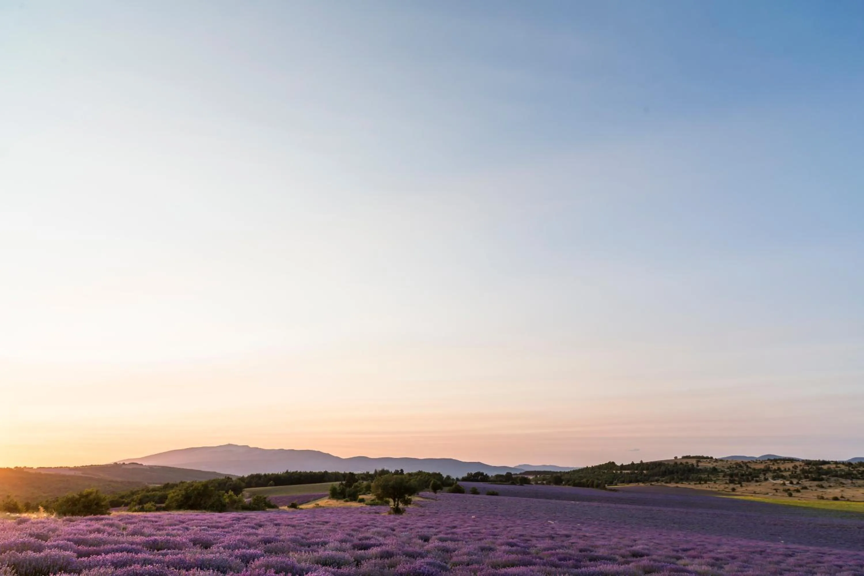 View (from property/room) in L'Aptois Hôtel