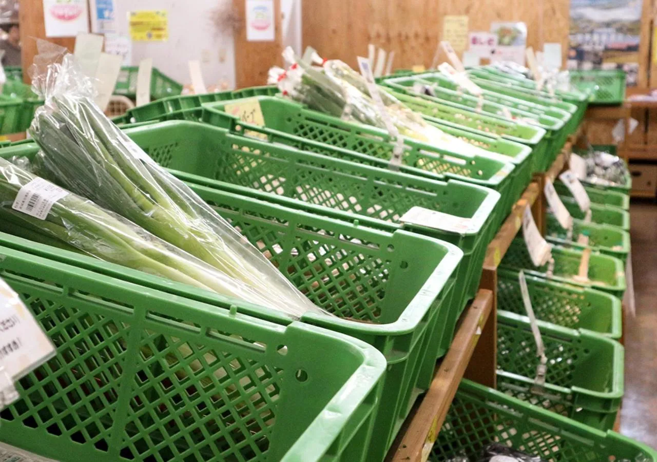 Other in Pension Kamifuji