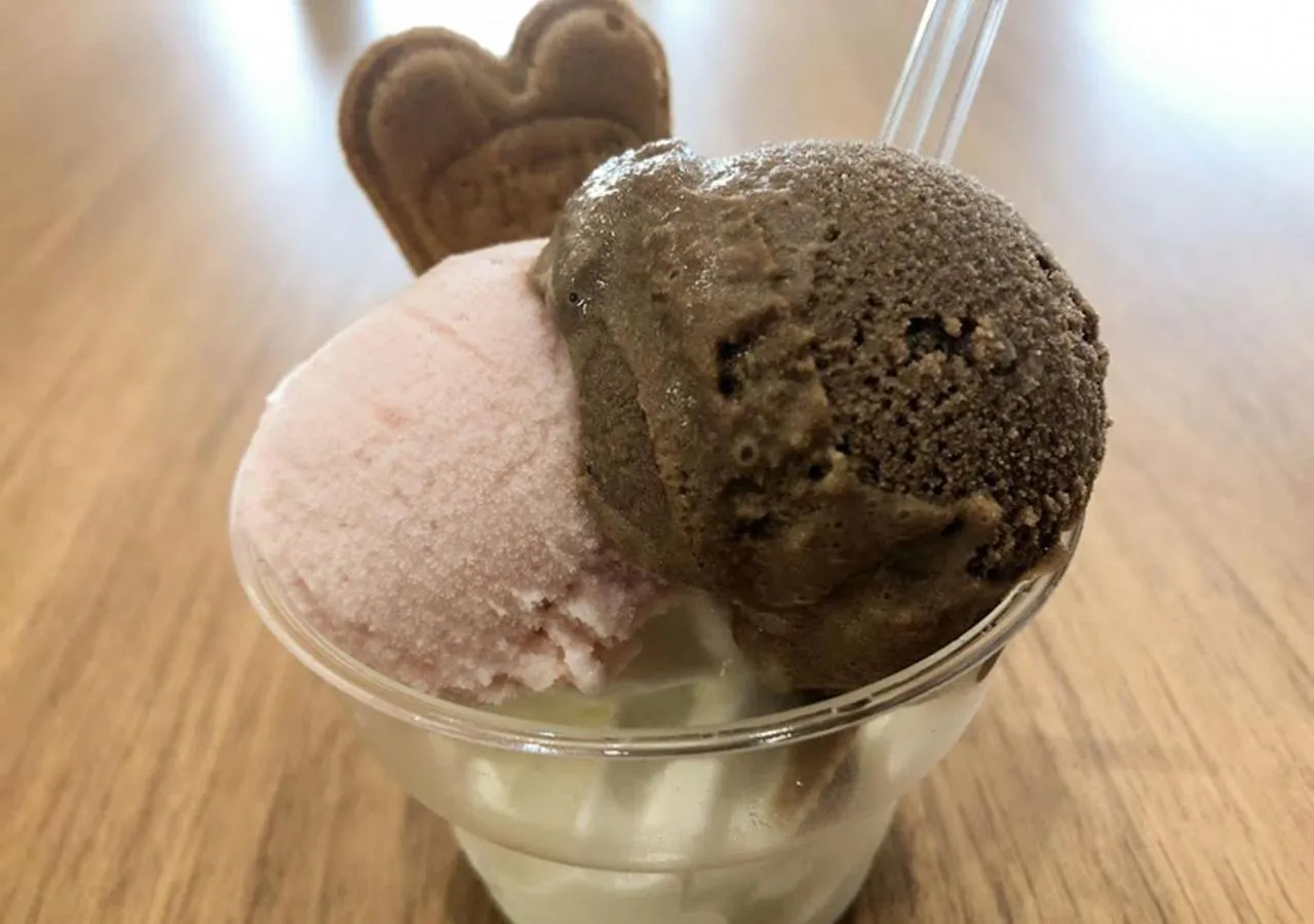 Food in Pension Kamifuji