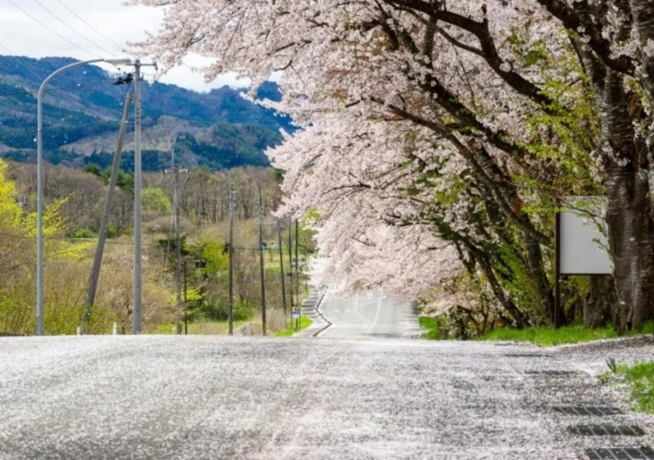 Spring in Pension Kamifuji