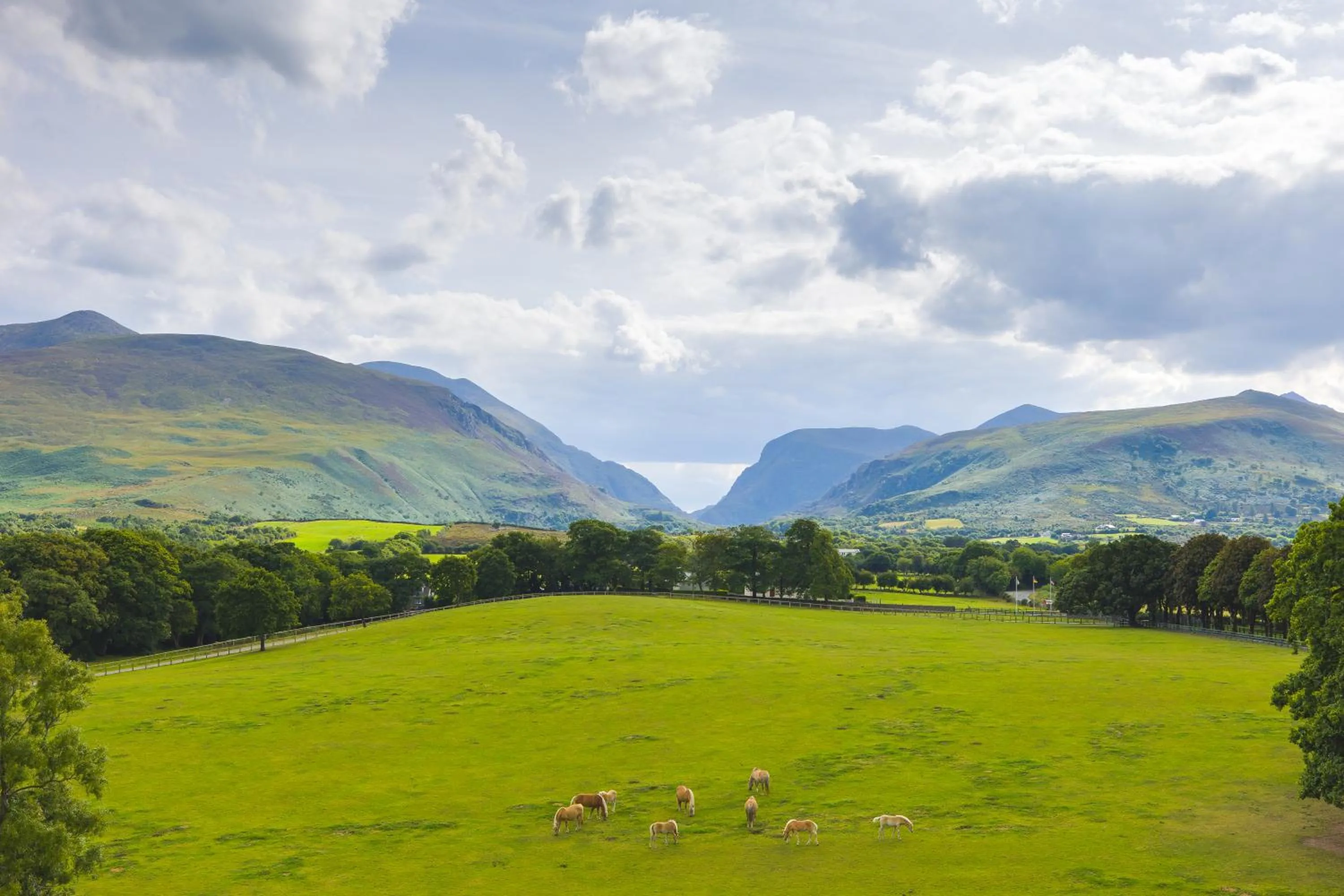 View (from property/room) in The Dunloe Hotel & Gardens
