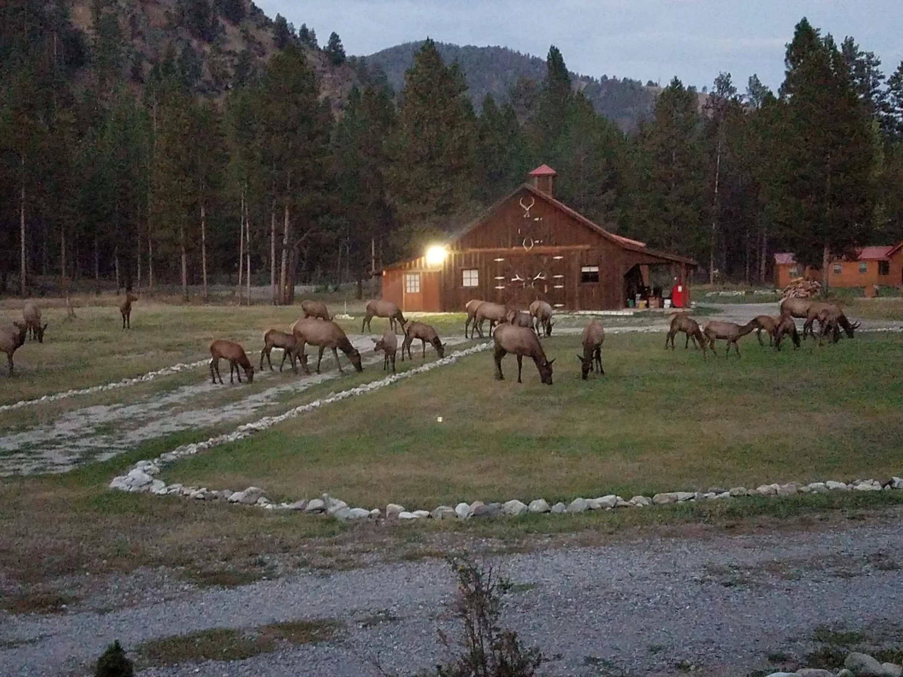 The Wild Game Inn