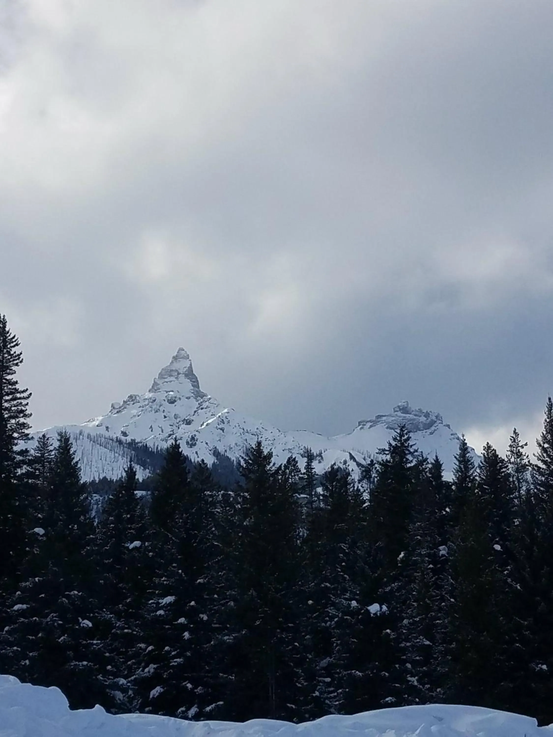 Natural landscape in The Wild Game Inn
