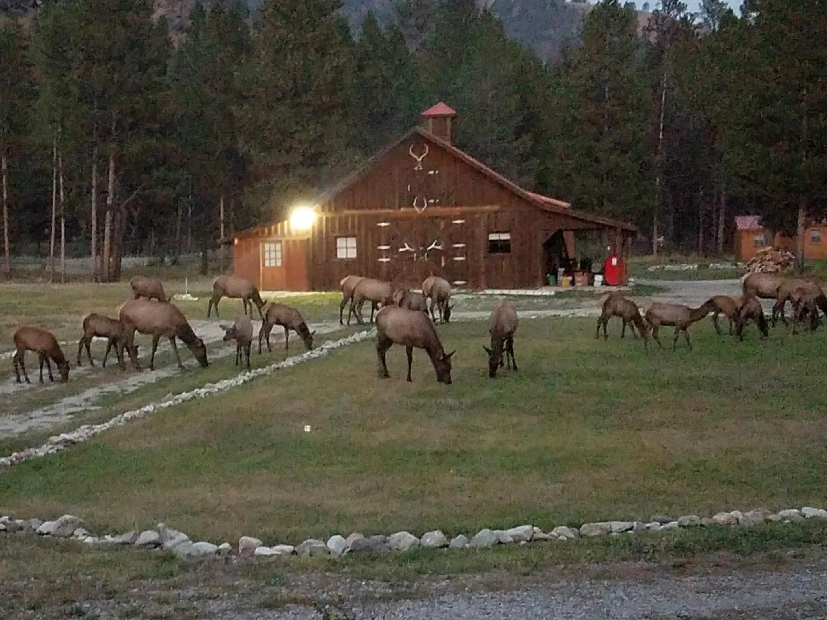 The Wild Game Inn