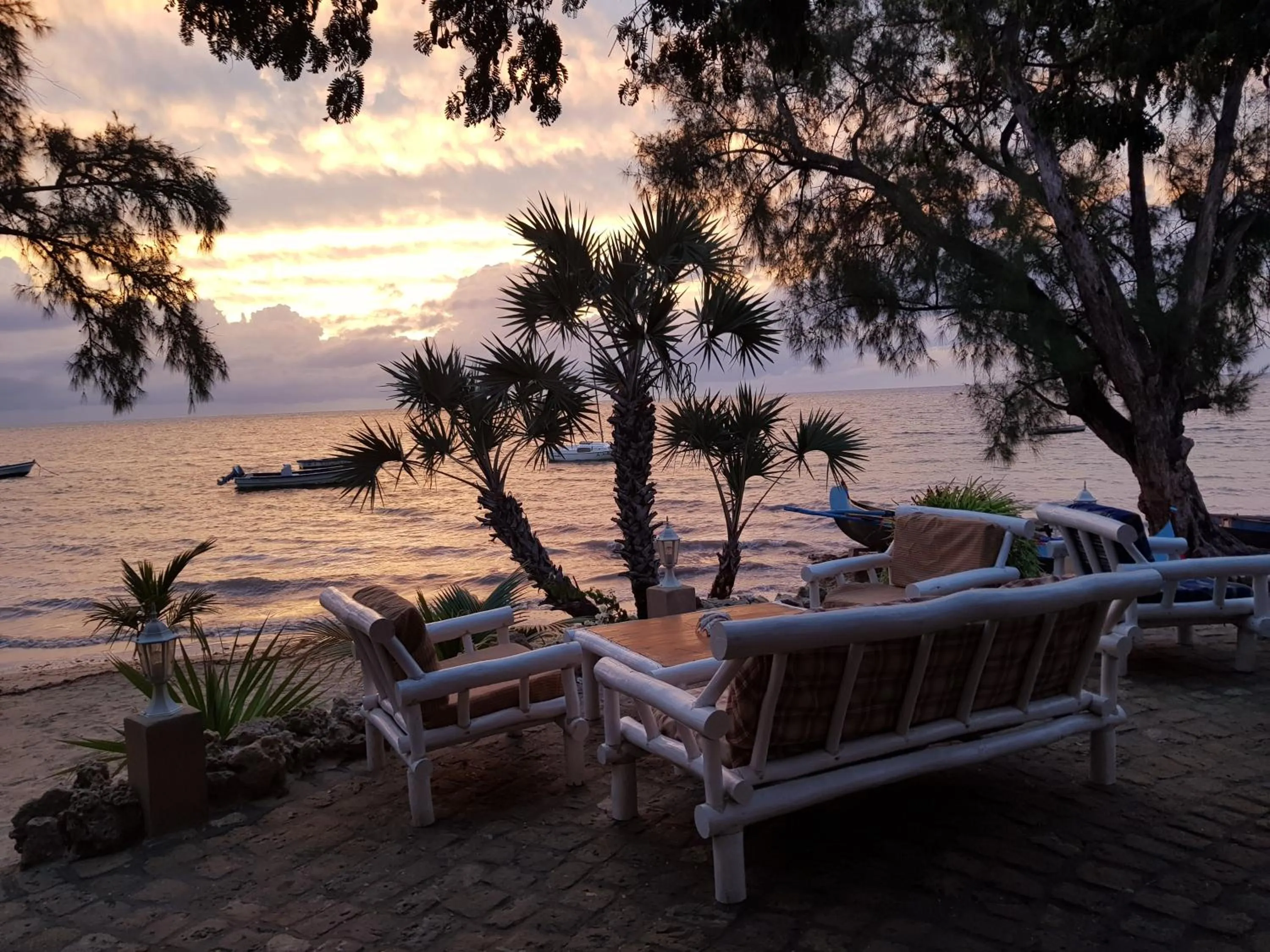 Restaurant/places to eat in La Bella Donna