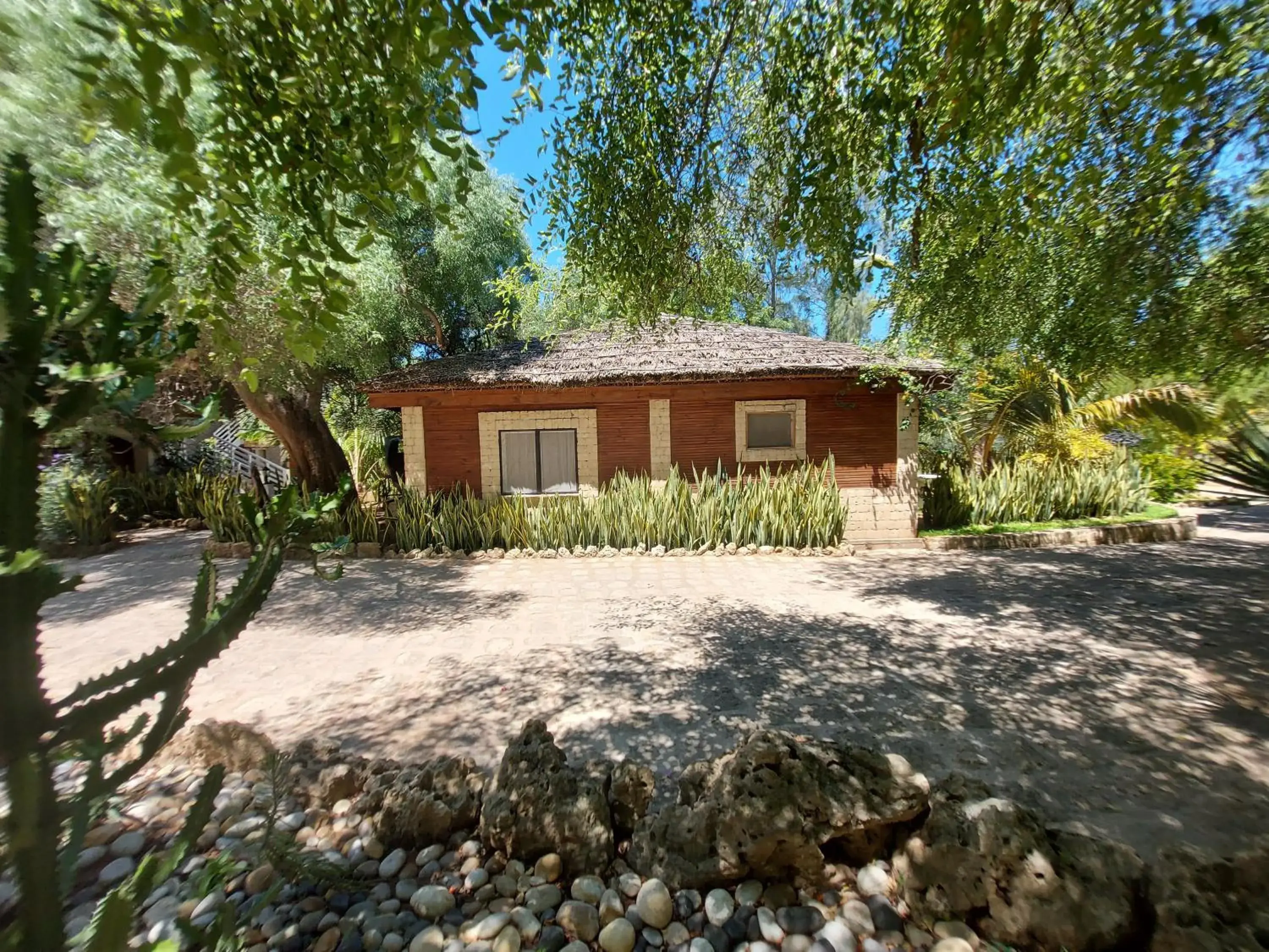 Double Room with Sea View - single occupancy in La Bella Donna Double Room with Sea View - single occupancy in La Bella Donna