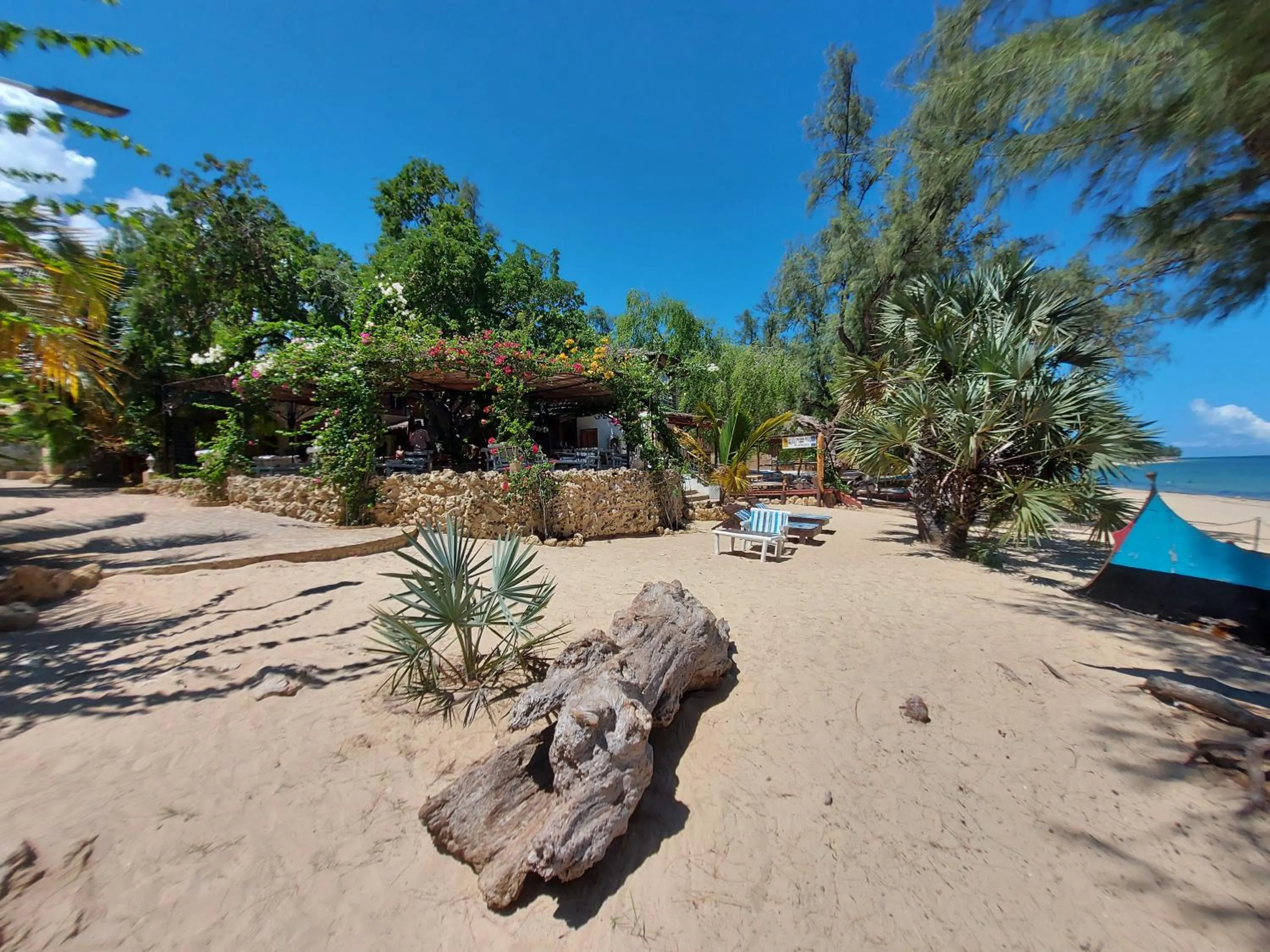 Beach in La Bella Donna