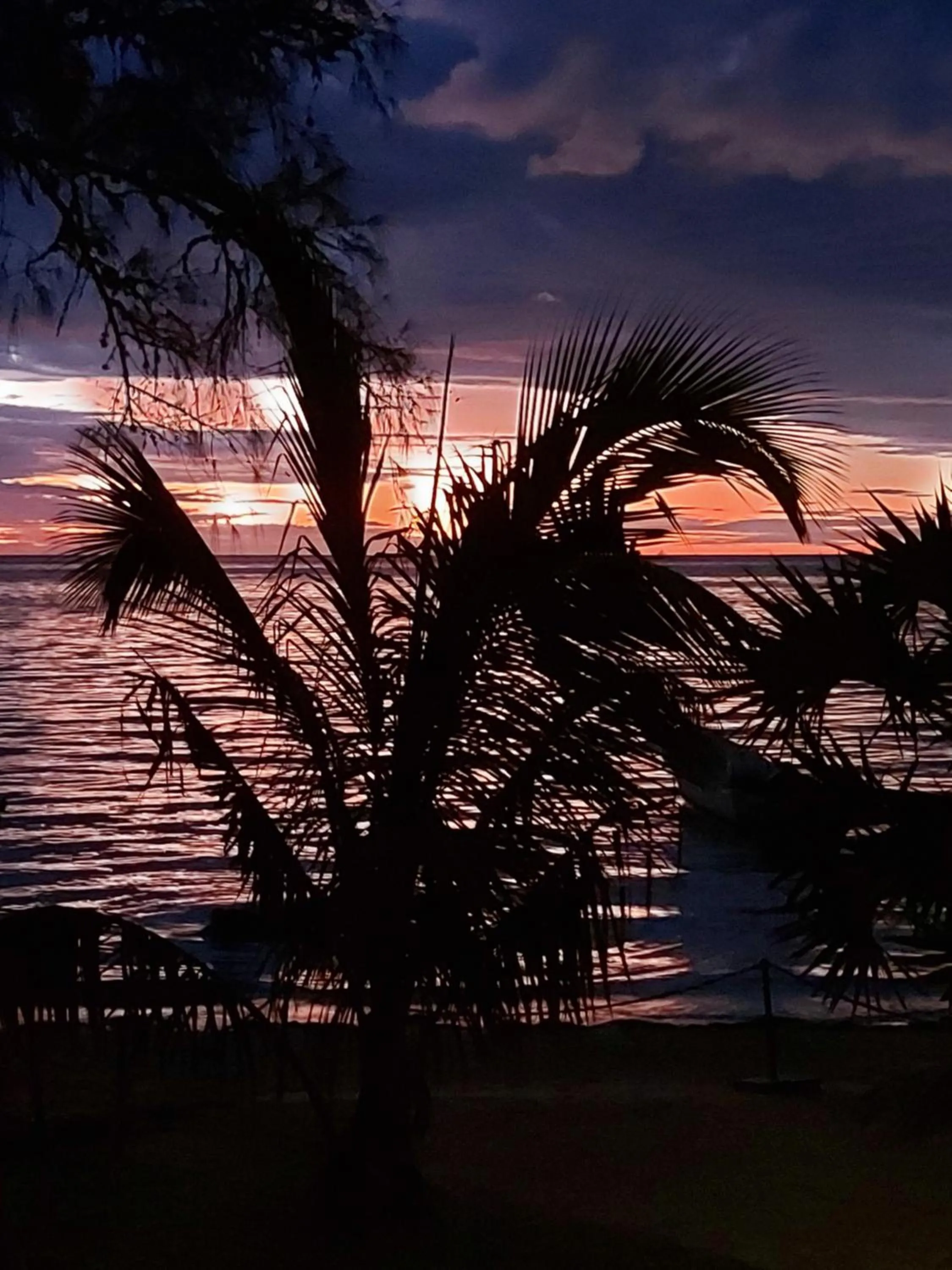 Sunset in La Bella Donna