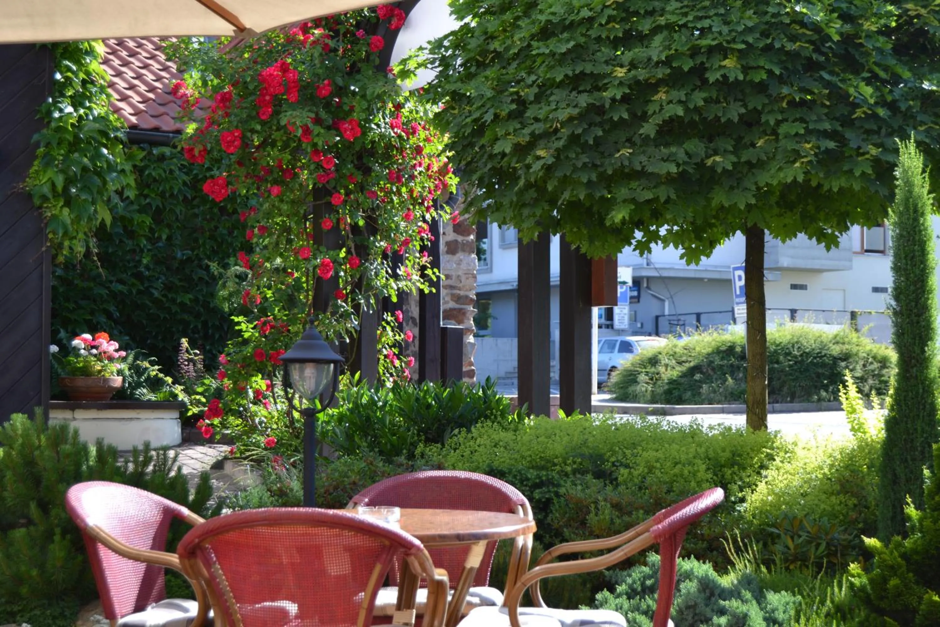 Garden in Park Hotel Pruhonice