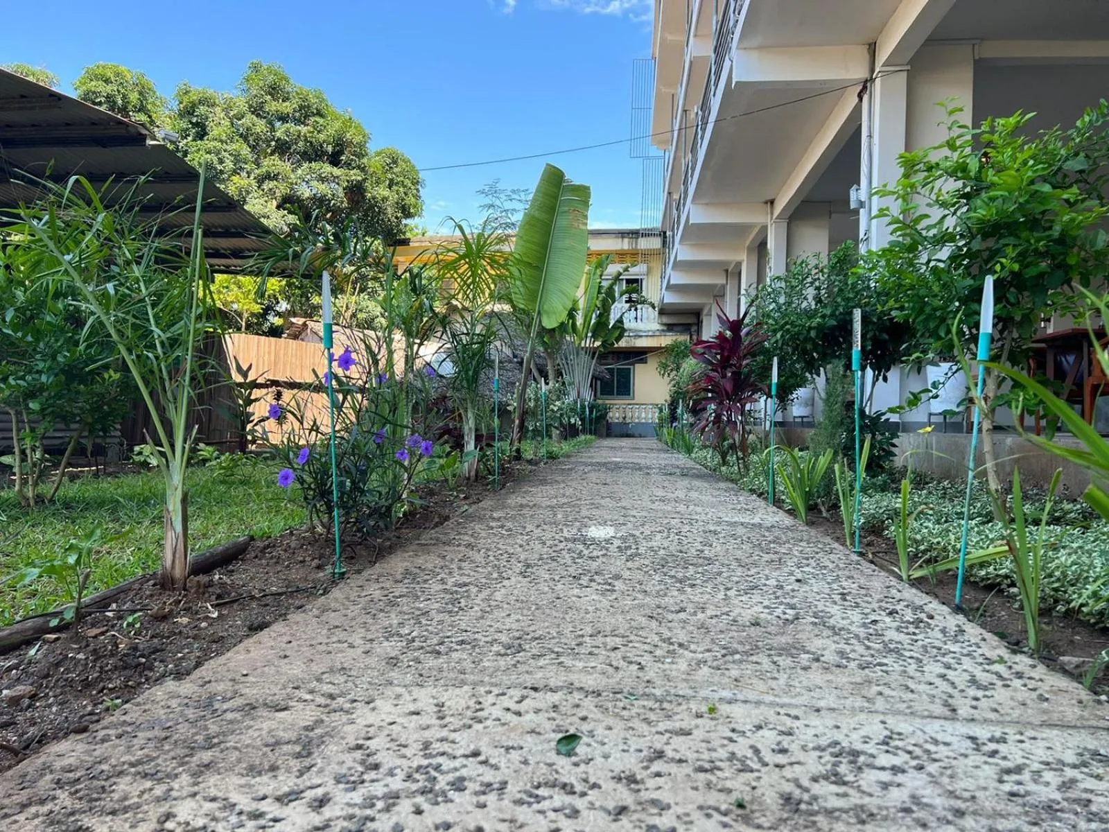 Property building in Hôtel Ambatoloaka