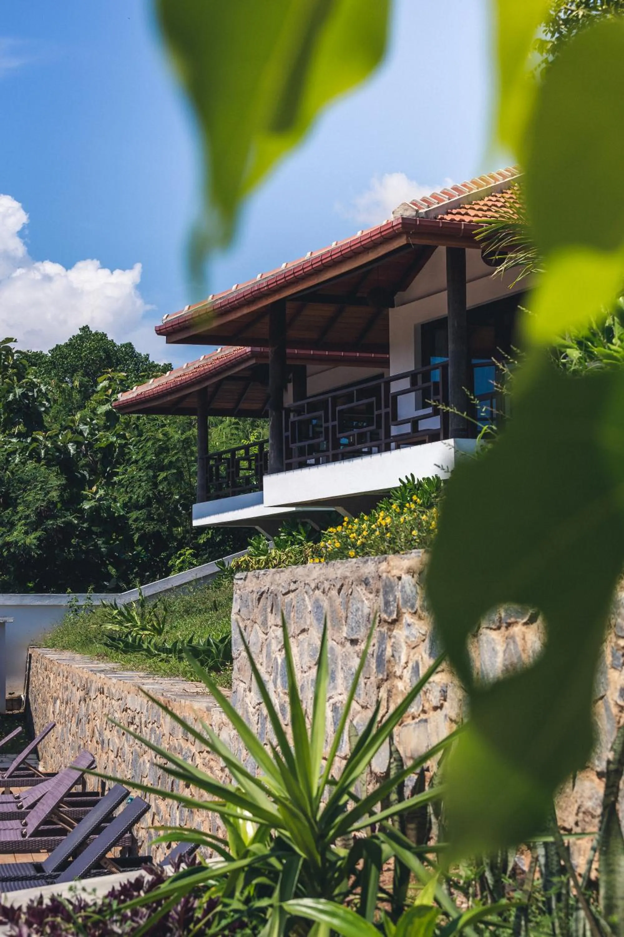 Property building in OMIA