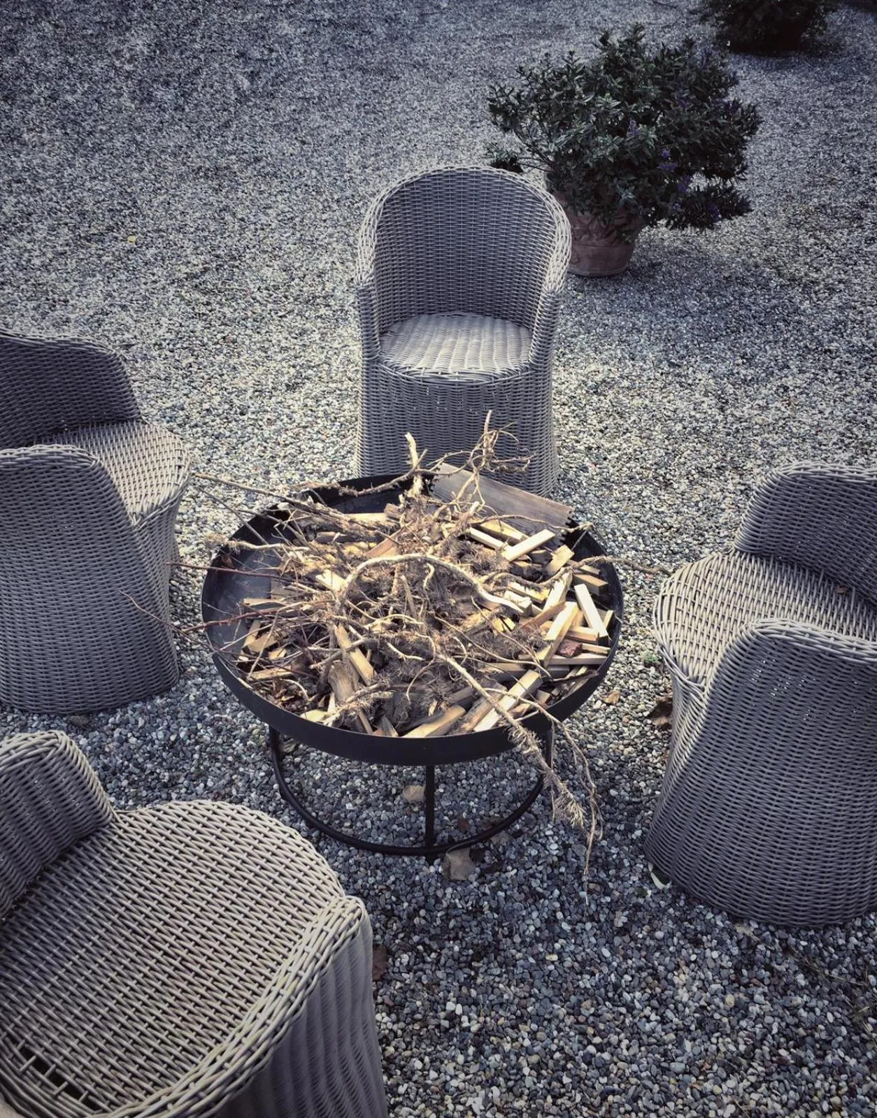 Garden in Hotel Casa Camilla