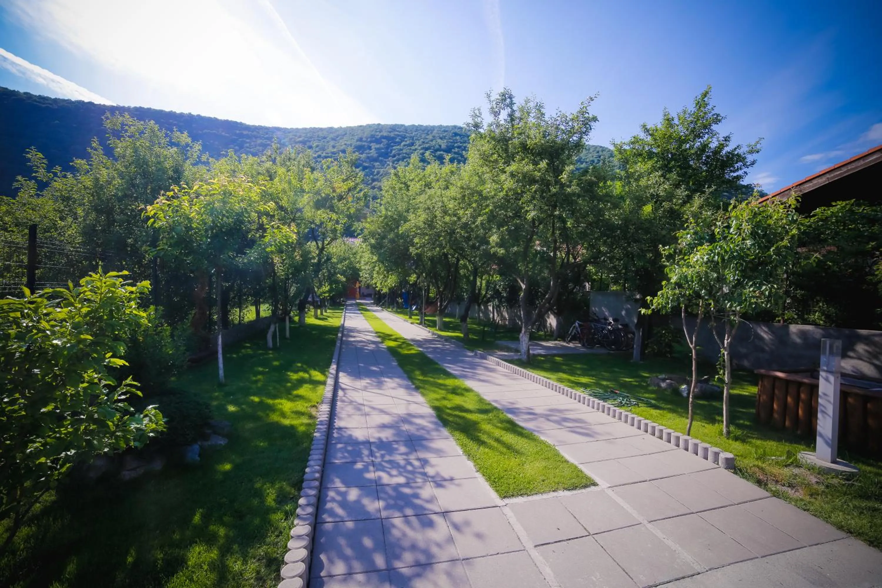 Garden in Pensiunea JOJO2