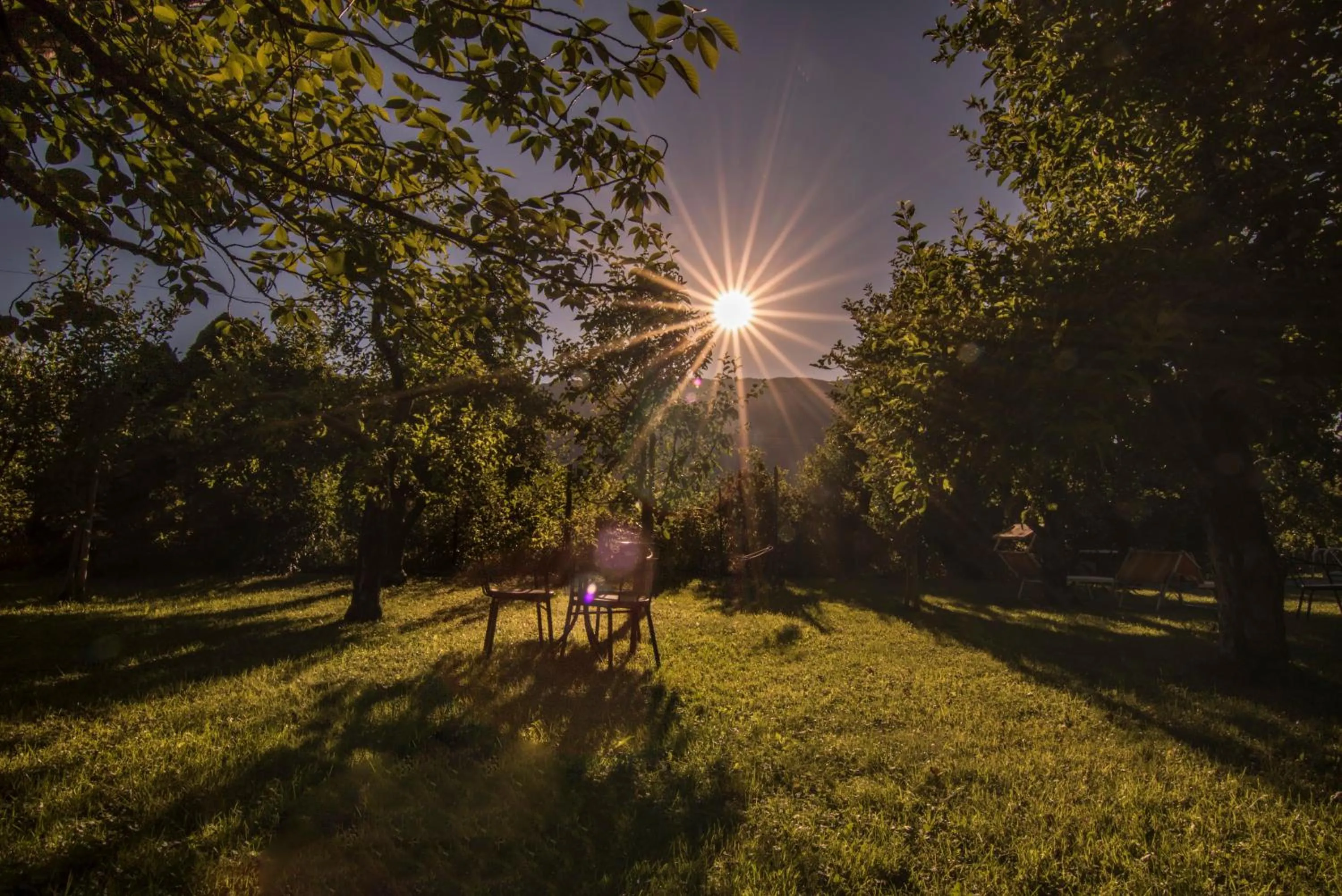 Garden in Hotel Gasthof WASTL