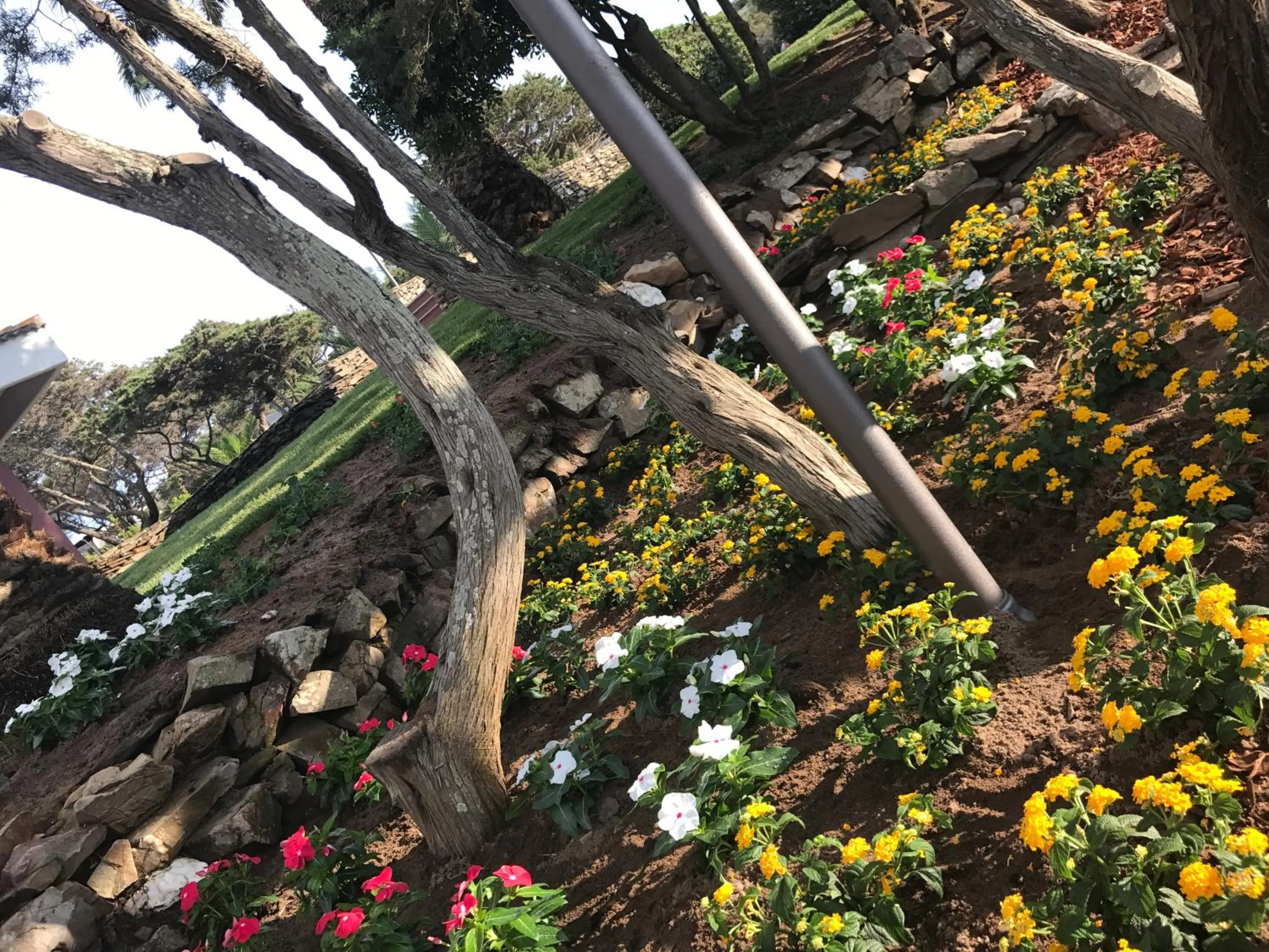 Garden in Club Esse Sporting