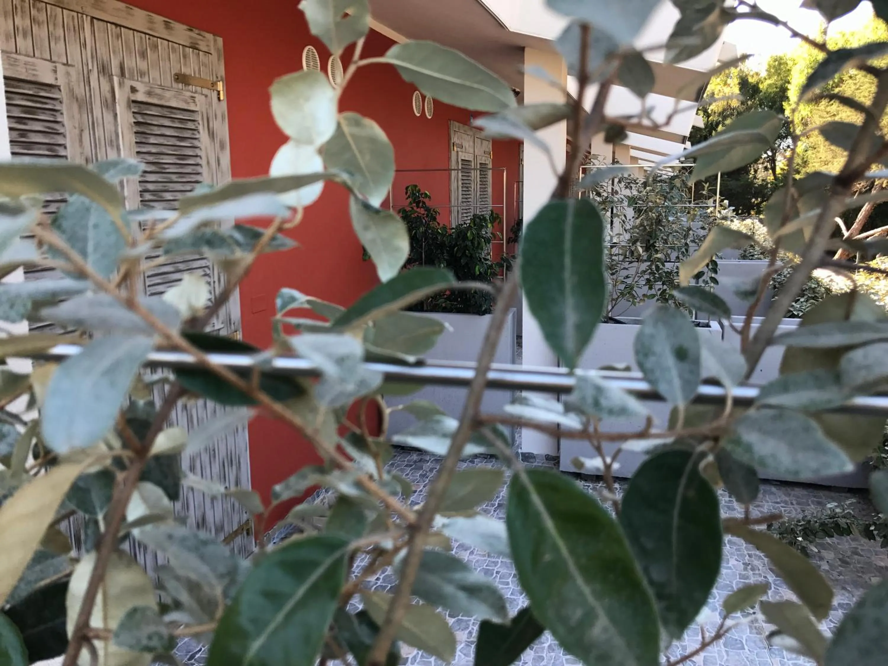 Property building in Club Esse Sporting