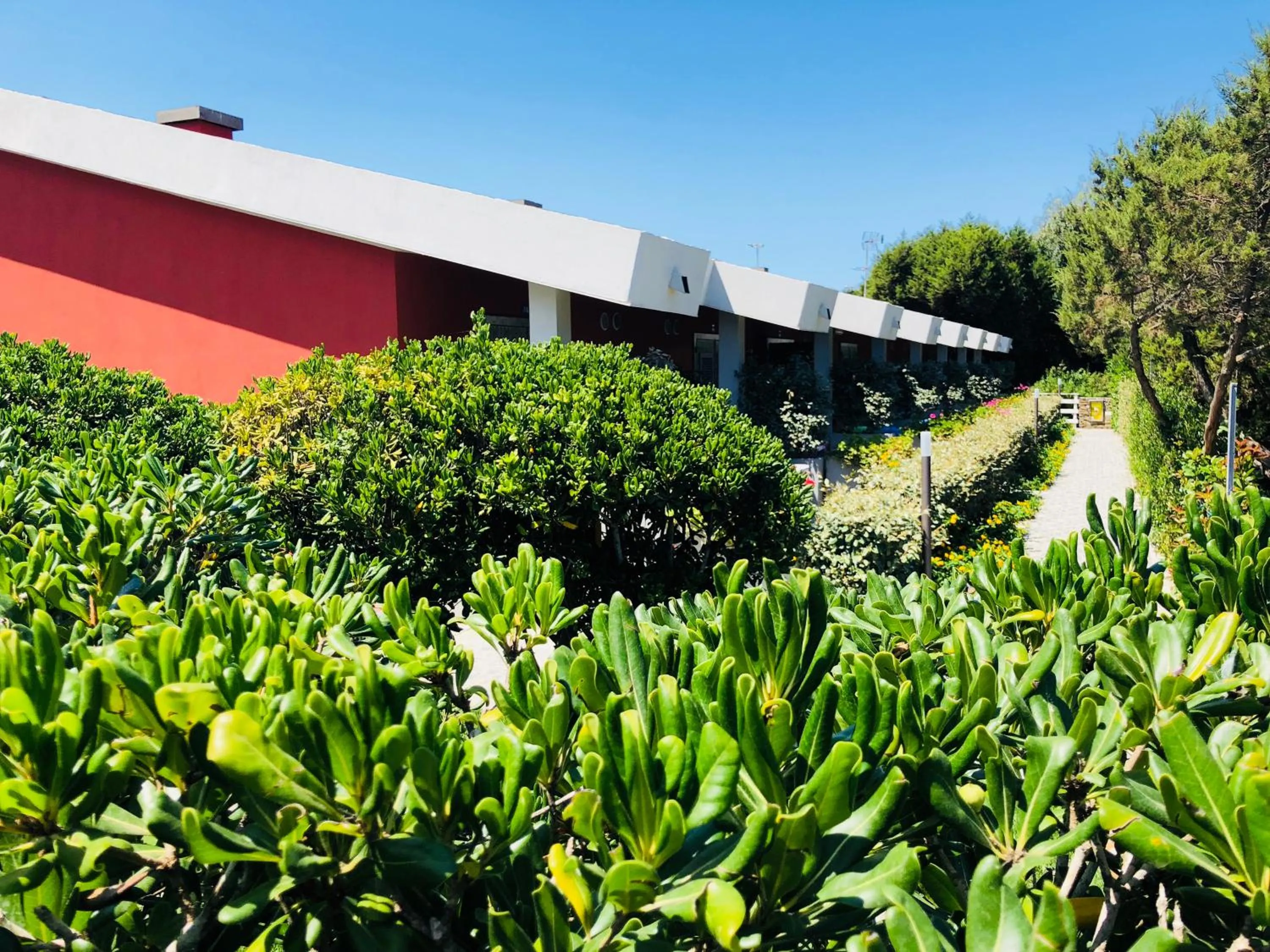 Property building in Club Esse Sporting