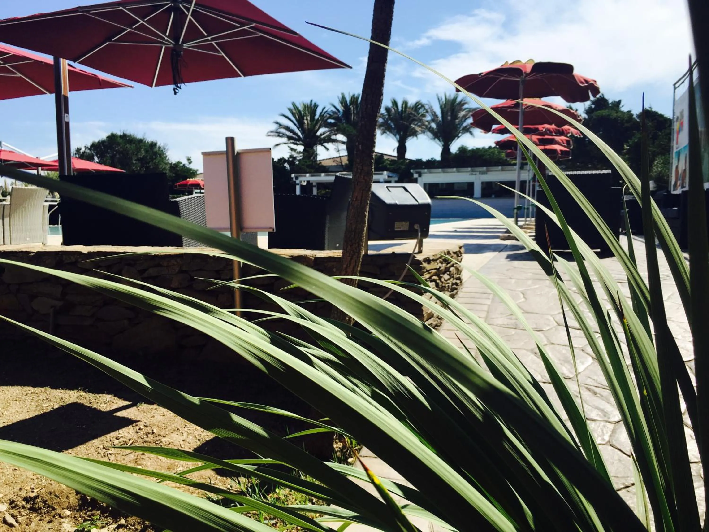 Garden in Club Esse Sporting