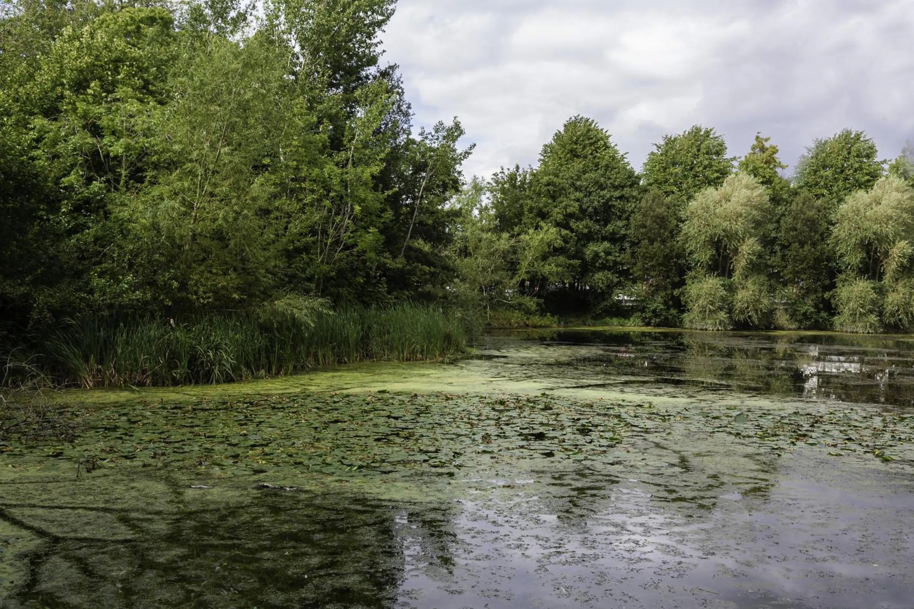 Other in Holiday Inn Express Dublin-Airport by IHG