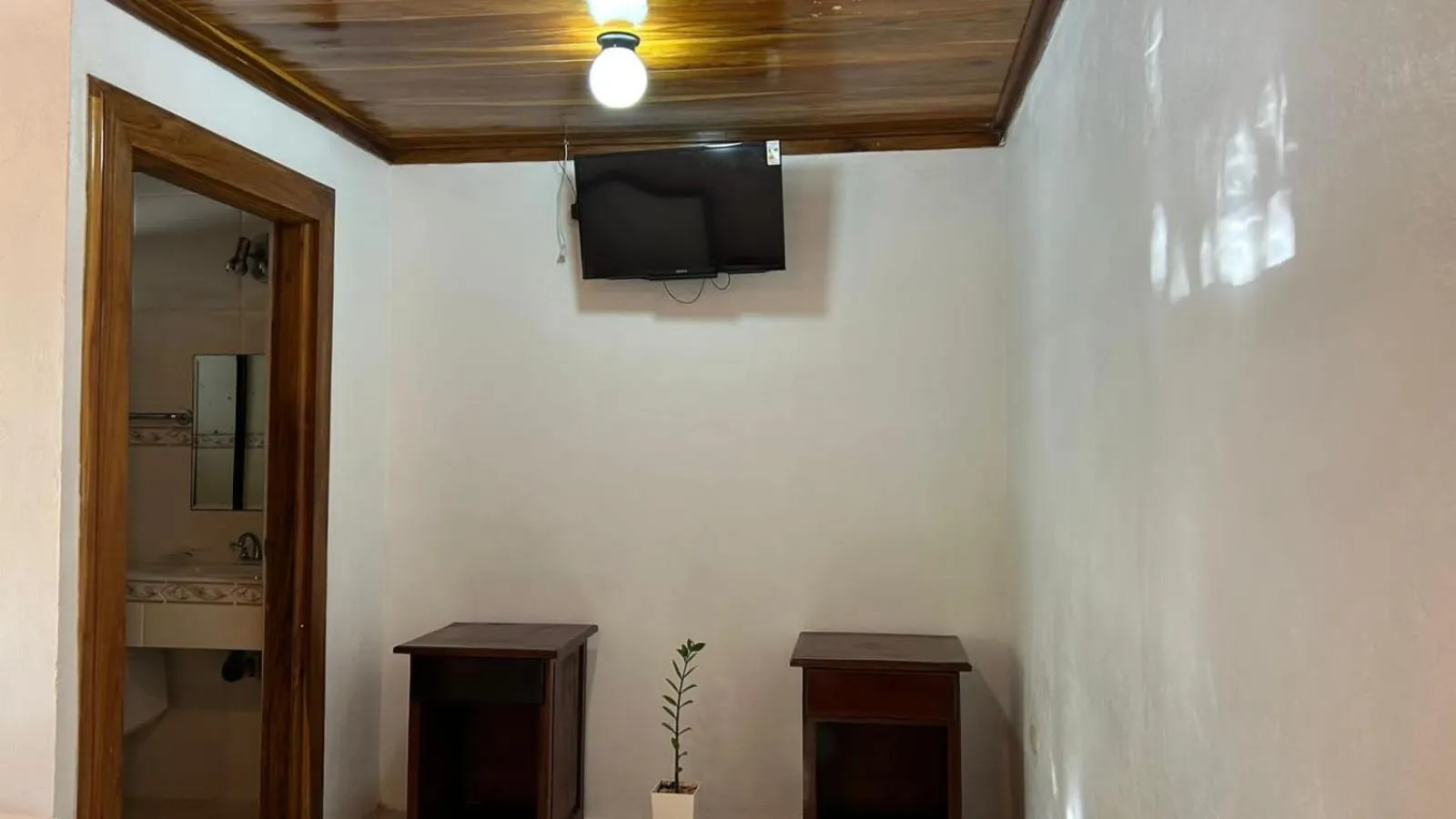 TV and multimedia in Hotel Javy