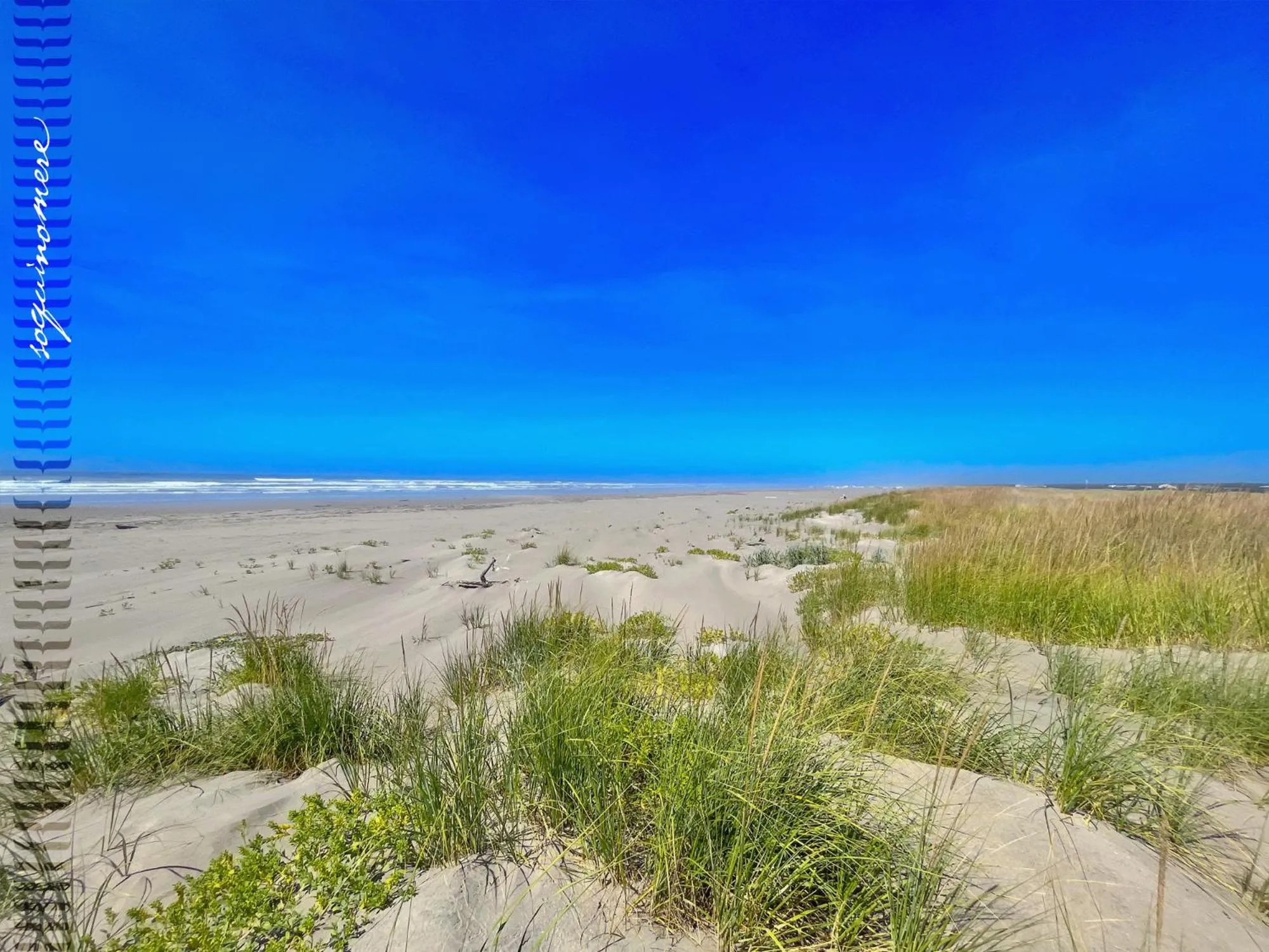 Tide Pool Cabin, a Soquinomere Private Hotel on the Dunes, Downtown Ocean Shores