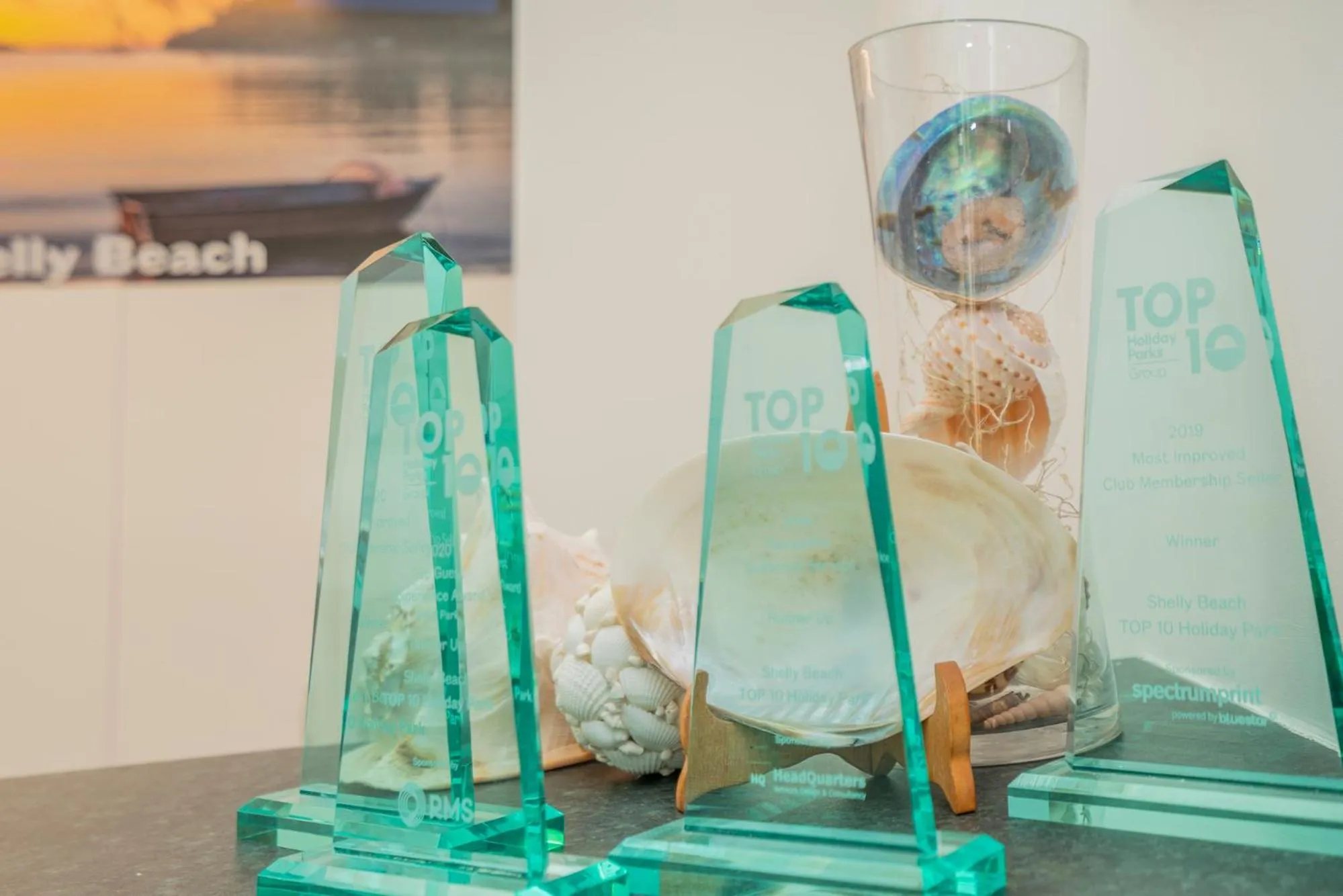 Certificate/Award in Coromandel Shelly Beach TOP 10 Holiday Park