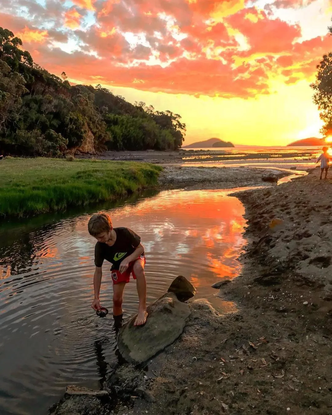 Beach in Coromandel Shelly Beach TOP 10 Holiday Park