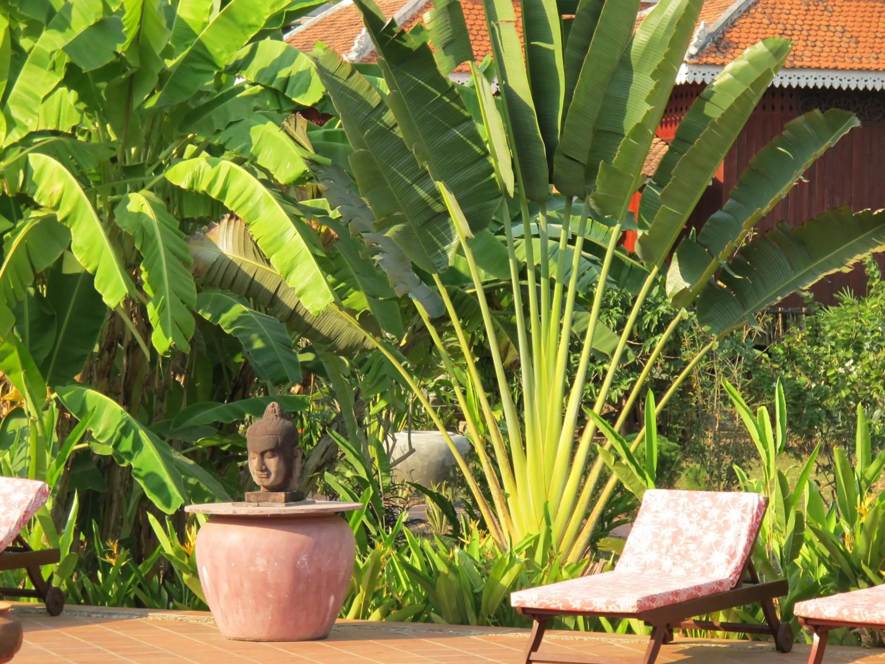 Garden in Soriyabori Resort